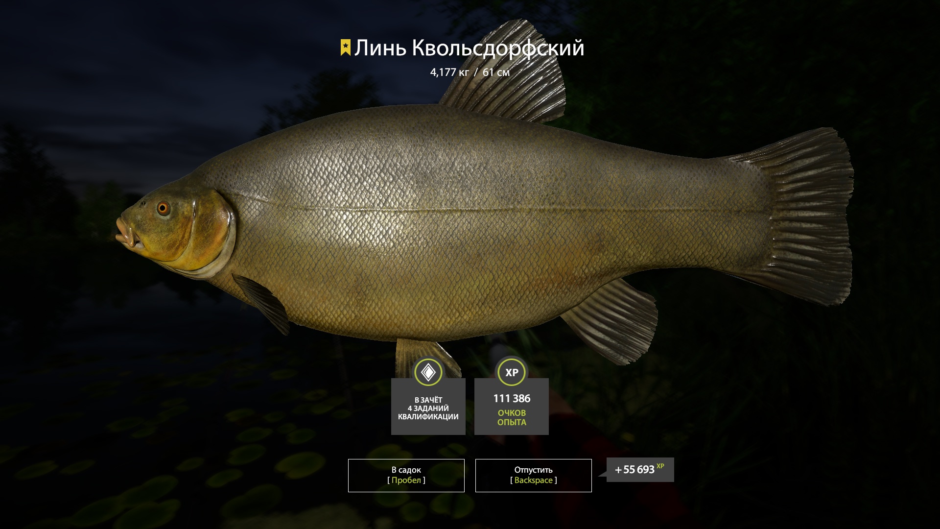 Trophy Copper lake
