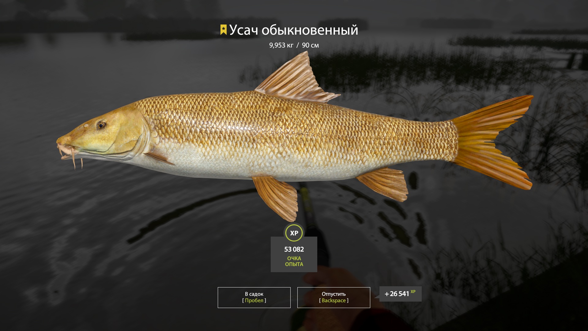 Trophy Bear Lake
