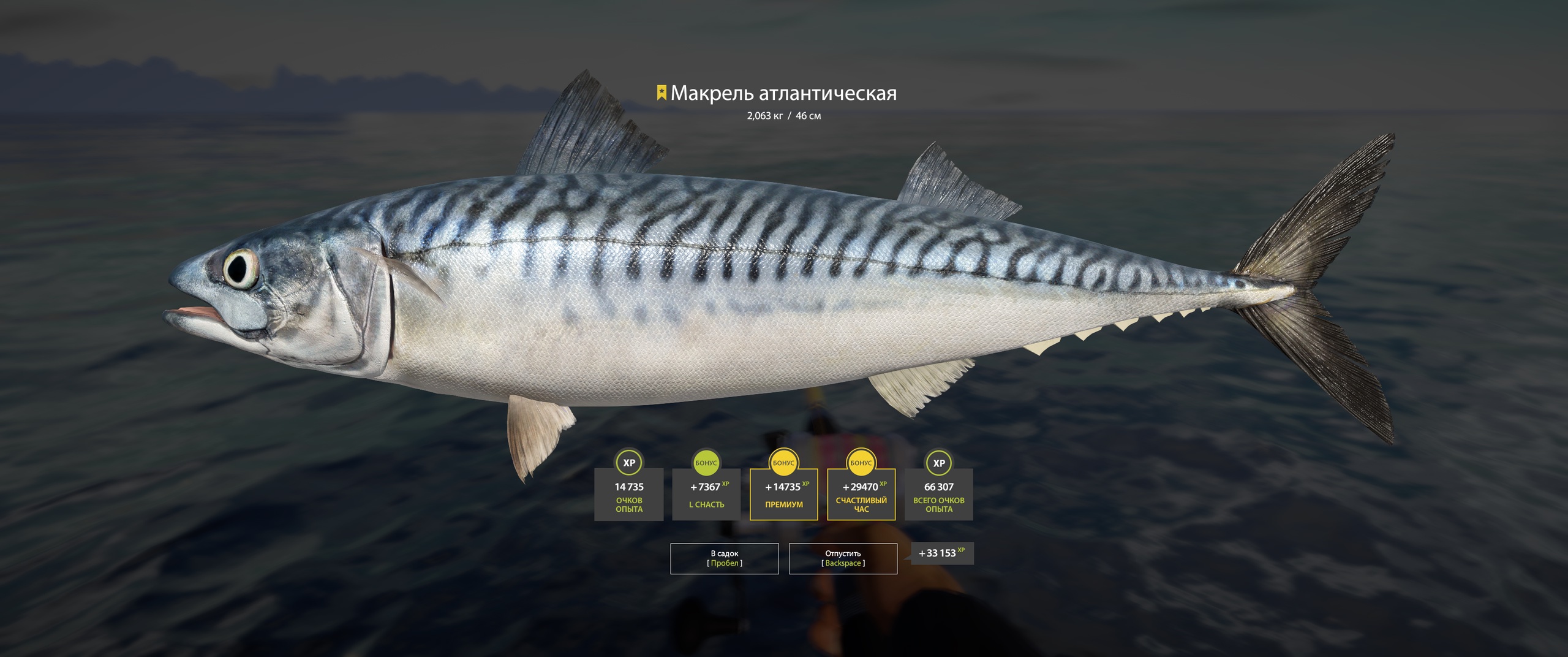 Trophy Norwegian Sea