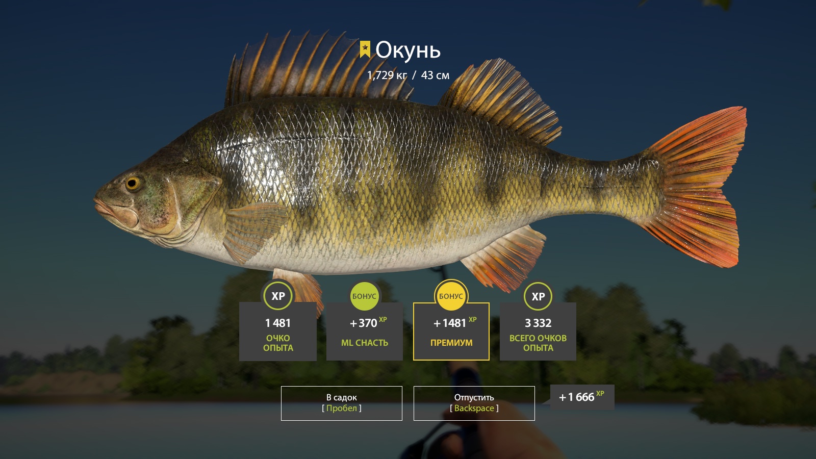 Trophy Volkhov River