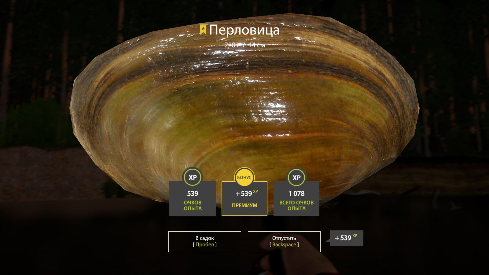 Trophy Winding Rivulet