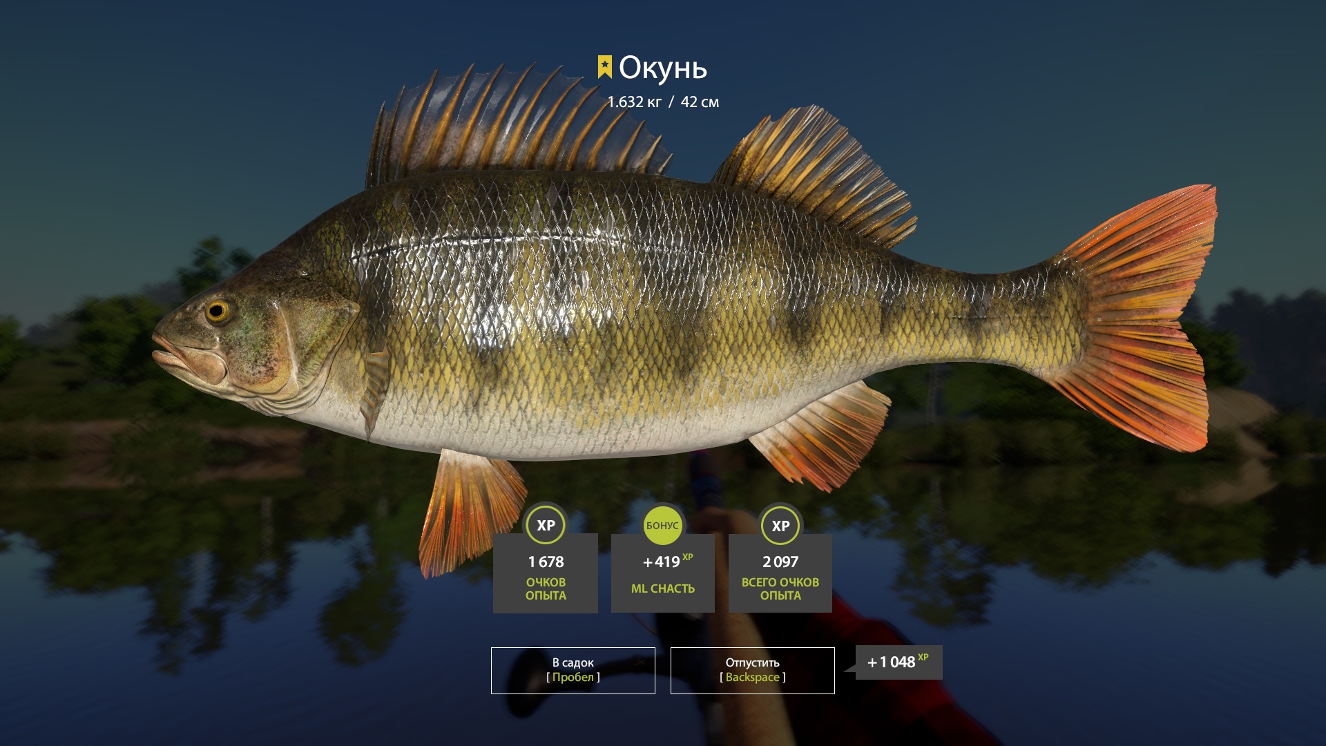 Trophy Winding Rivulet