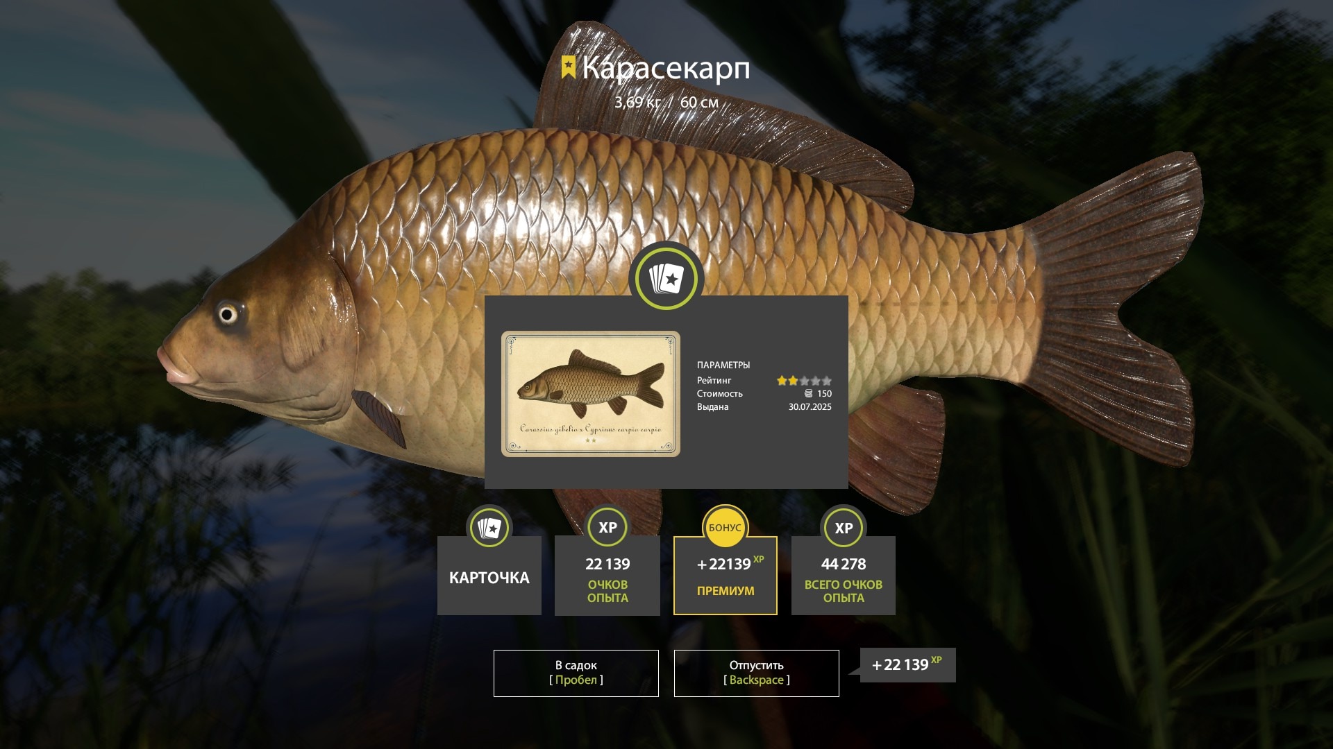 Trophy Copper lake
