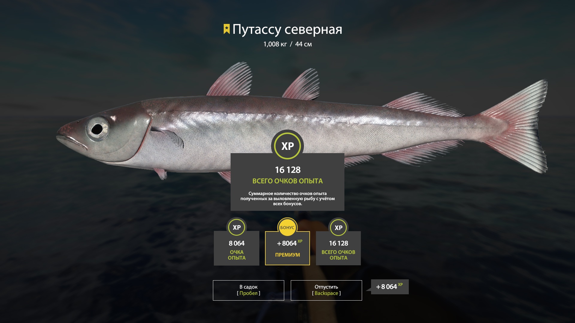 Trophy Norwegian Sea