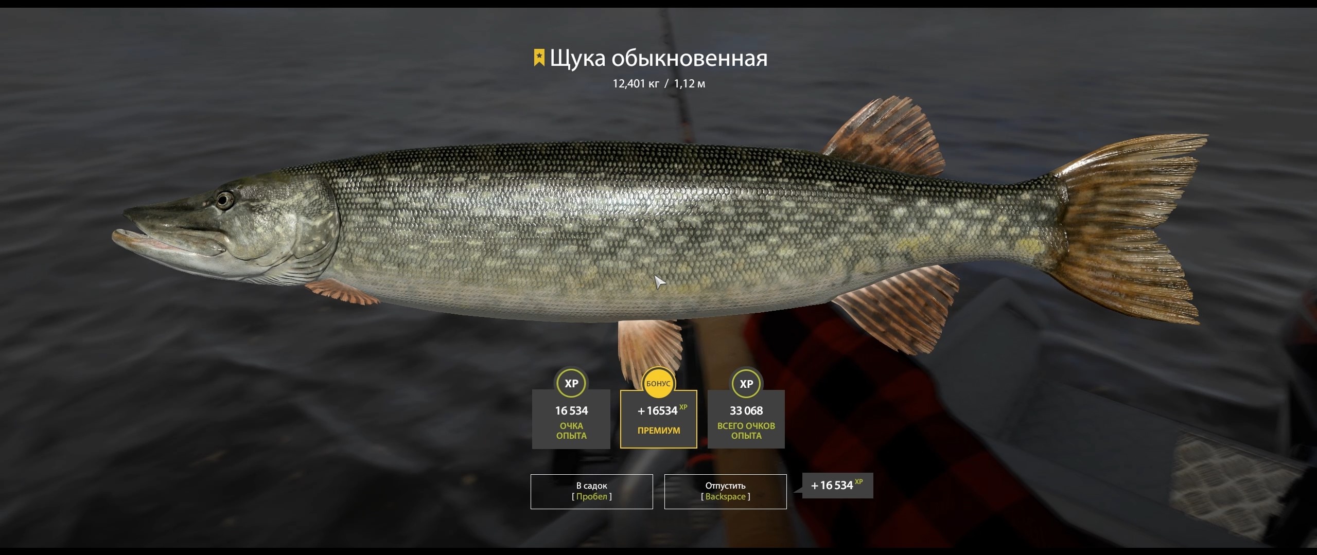 Trophy Ladoga archipelago