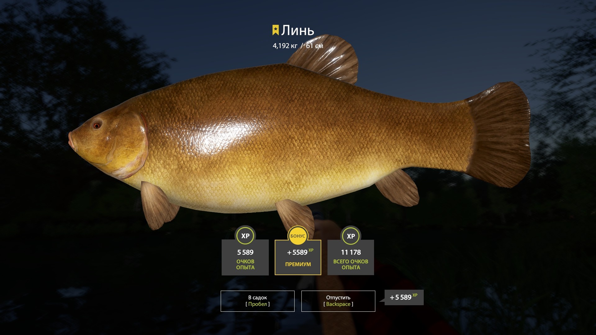 Trophy Copper lake