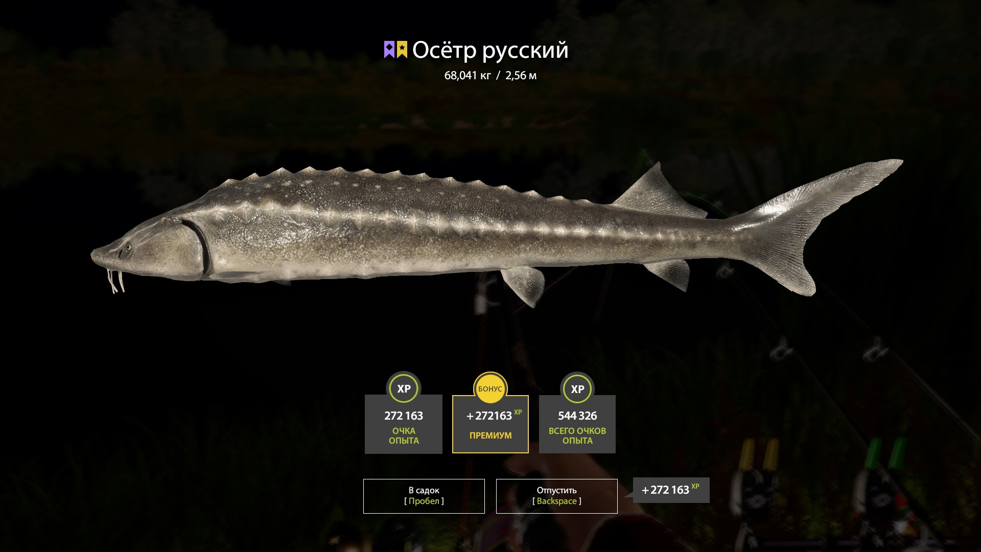 Trophy Akhtuba River