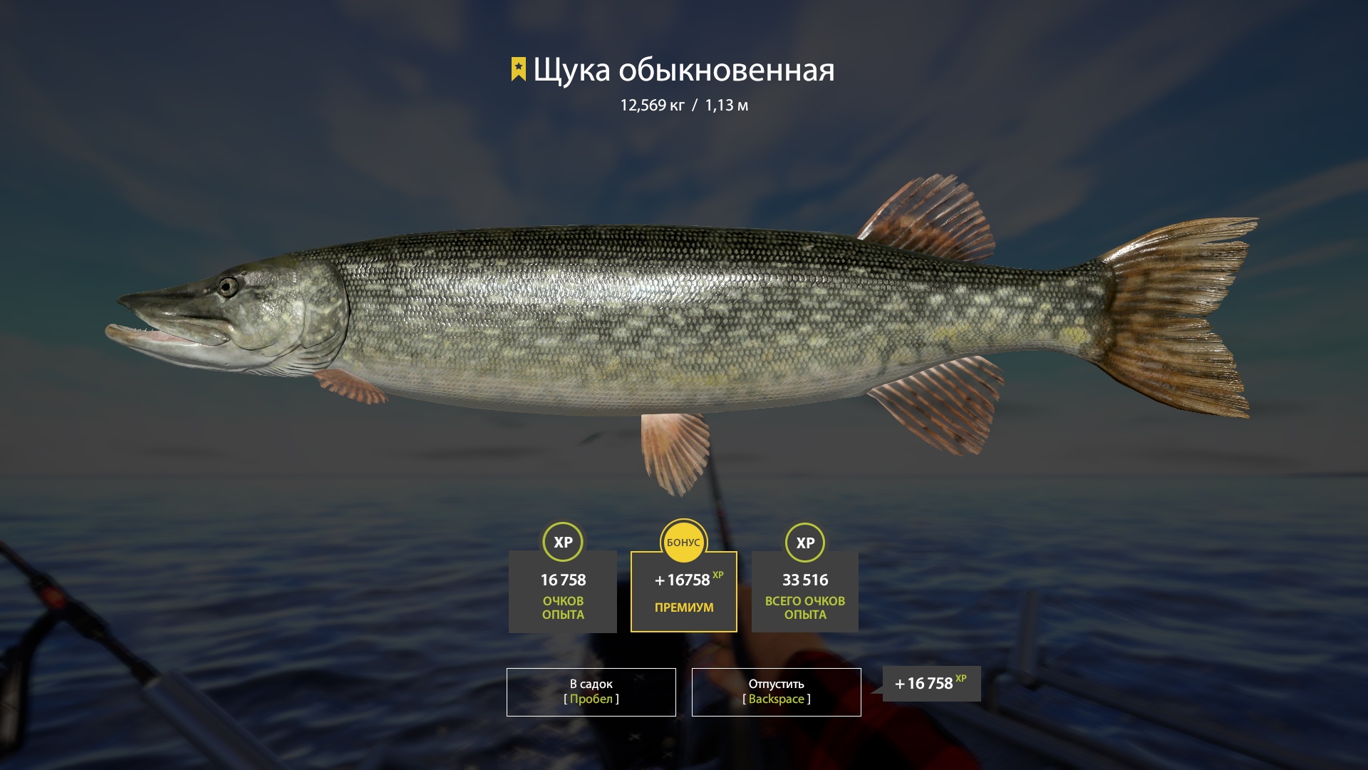 Trophy Ladoga archipelago