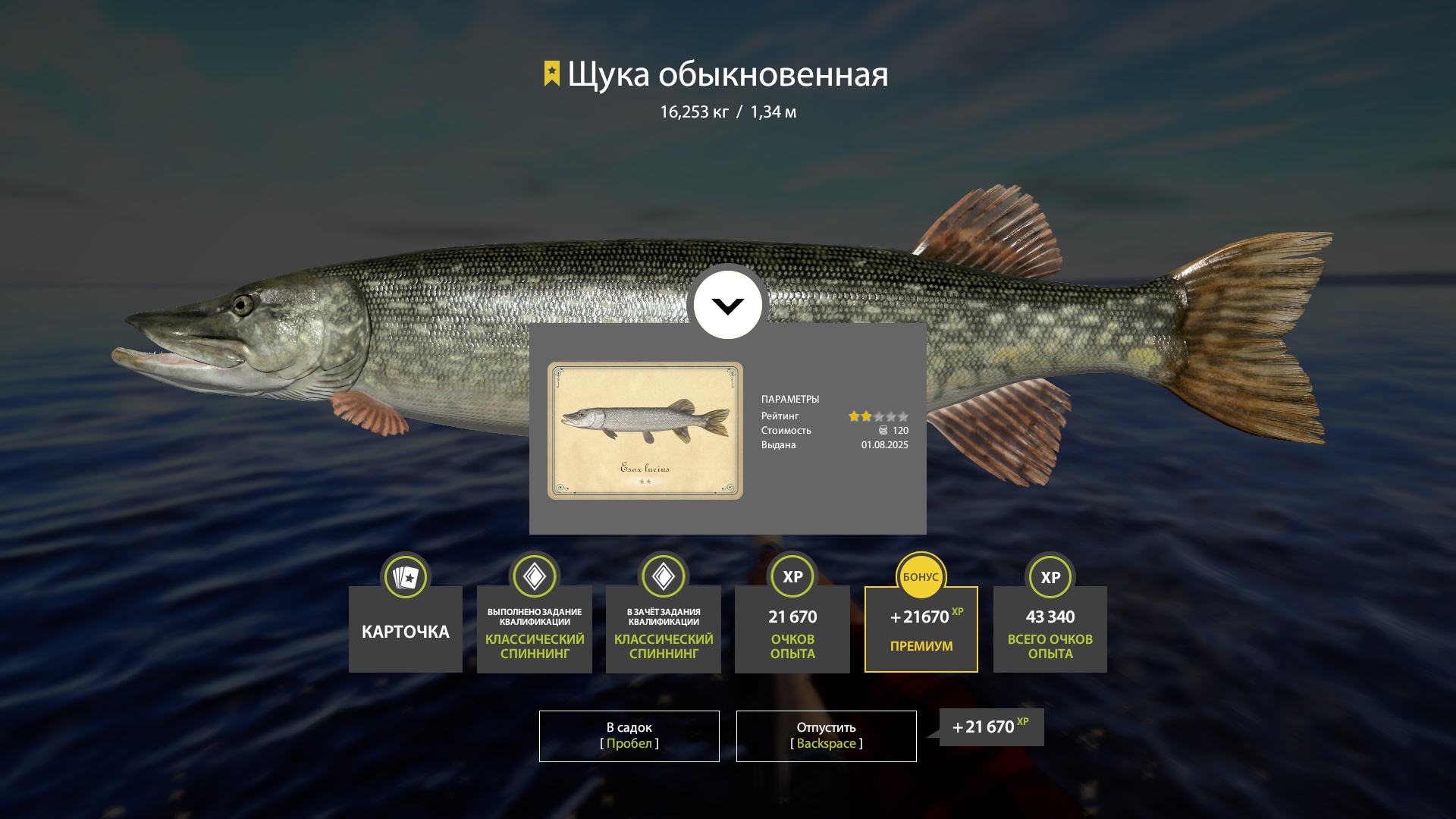 Trophy Ladoga archipelago