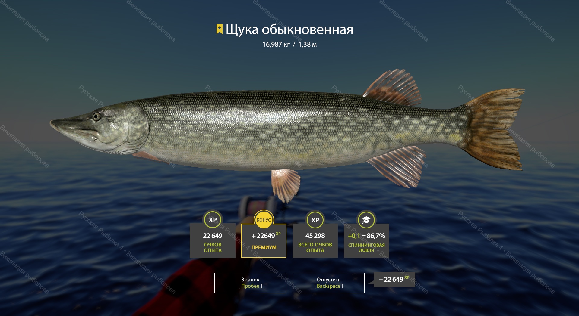Trophy Ladoga archipelago