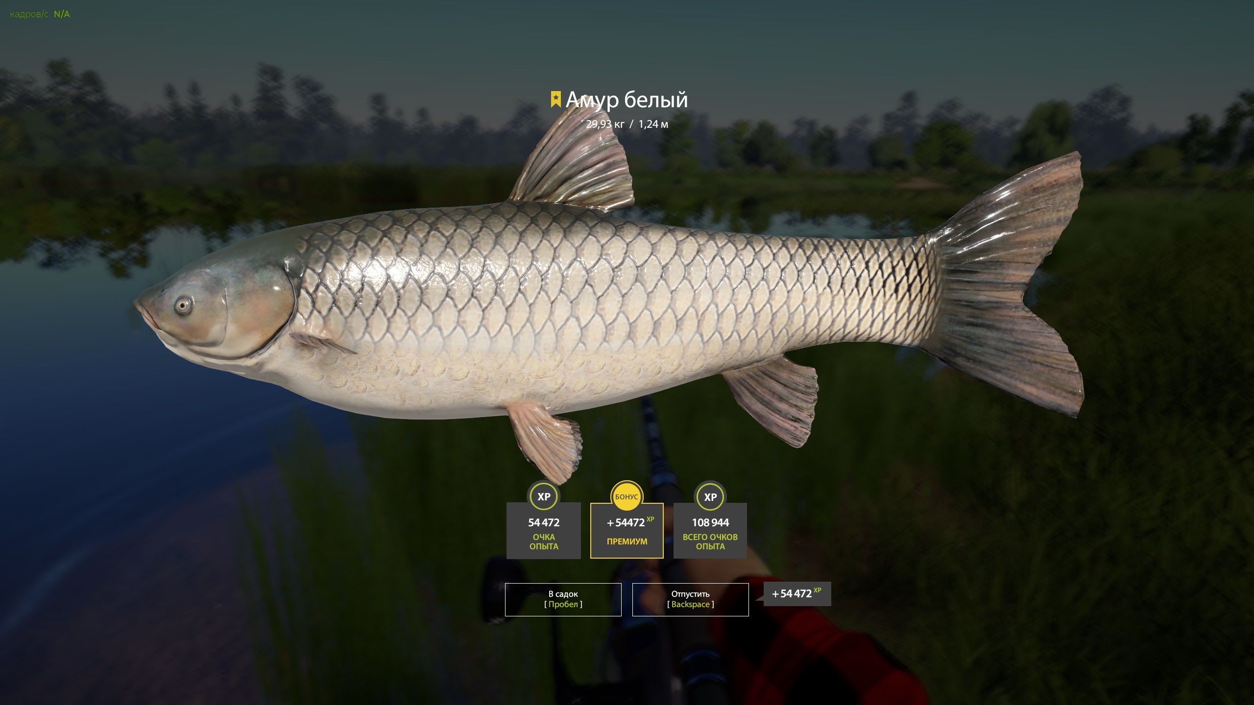 Trophy Bear Lake
