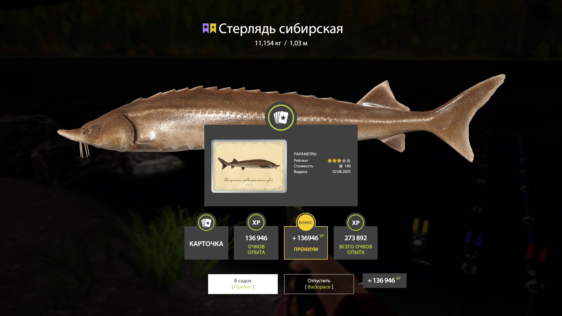 Trophy Lower Tunguska River