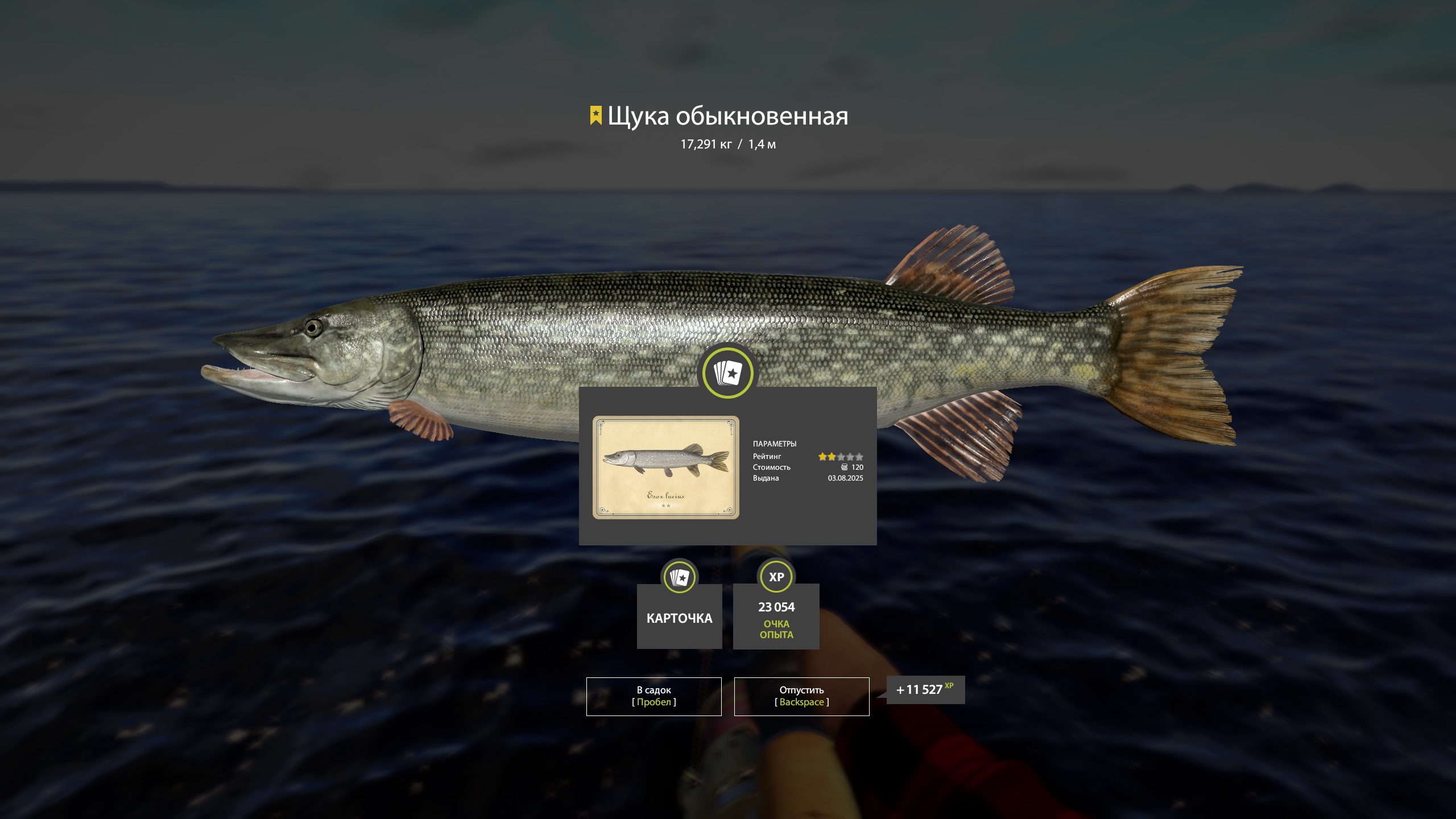 Trophy Ladoga archipelago