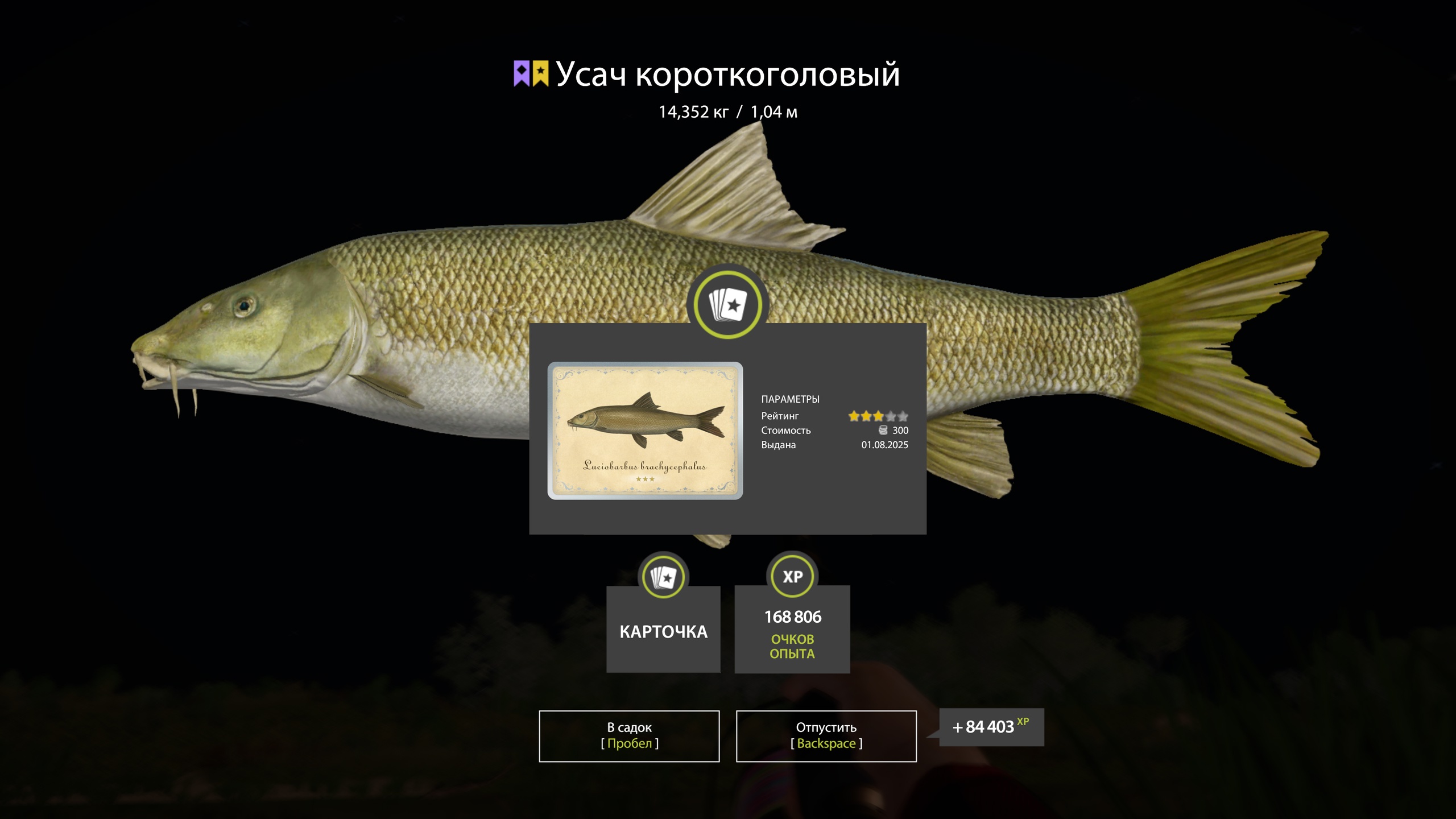 Trophy Akhtuba River