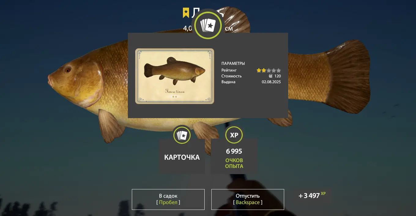 Trophy Bear Lake