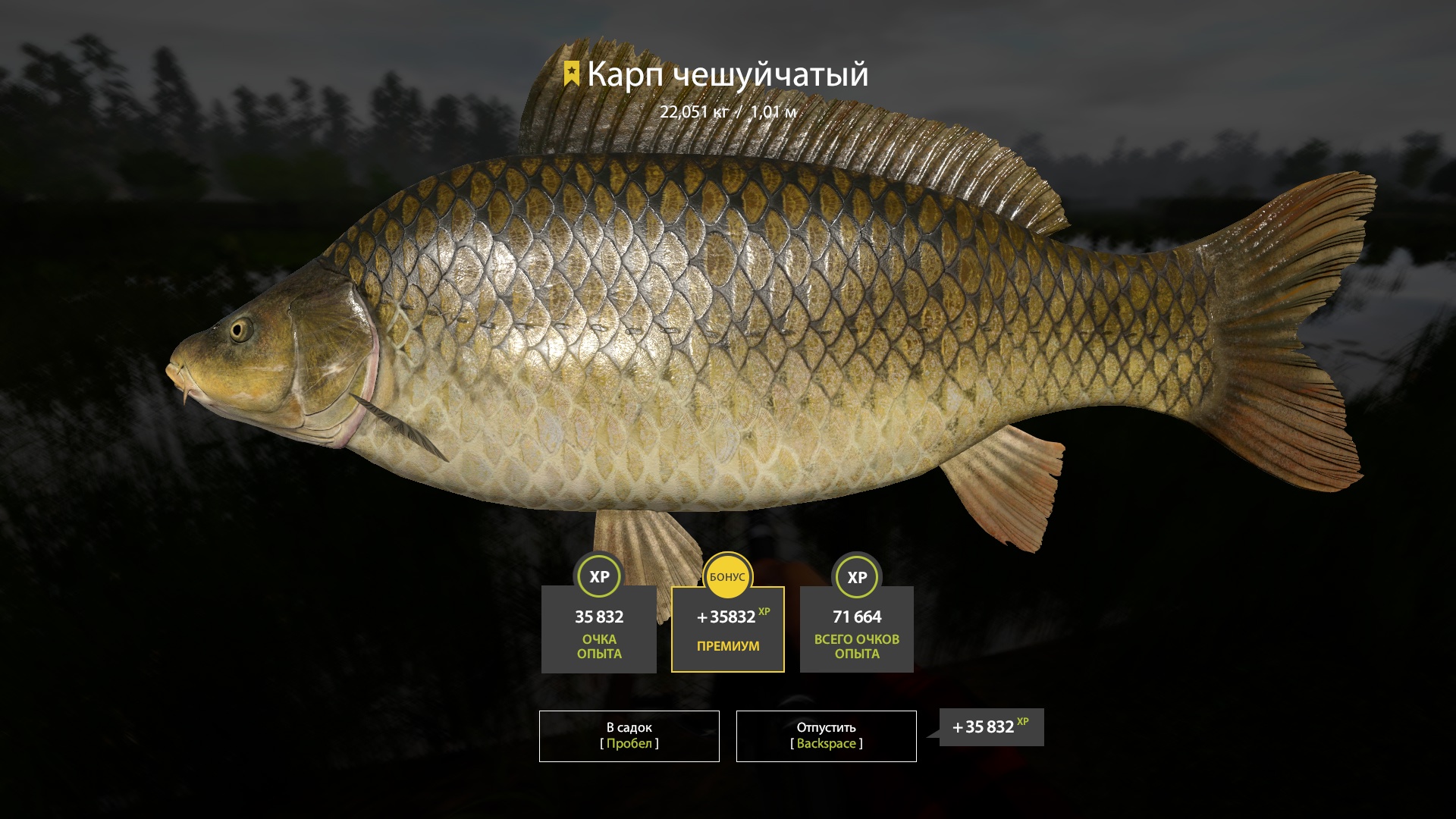 Trophy Bear Lake