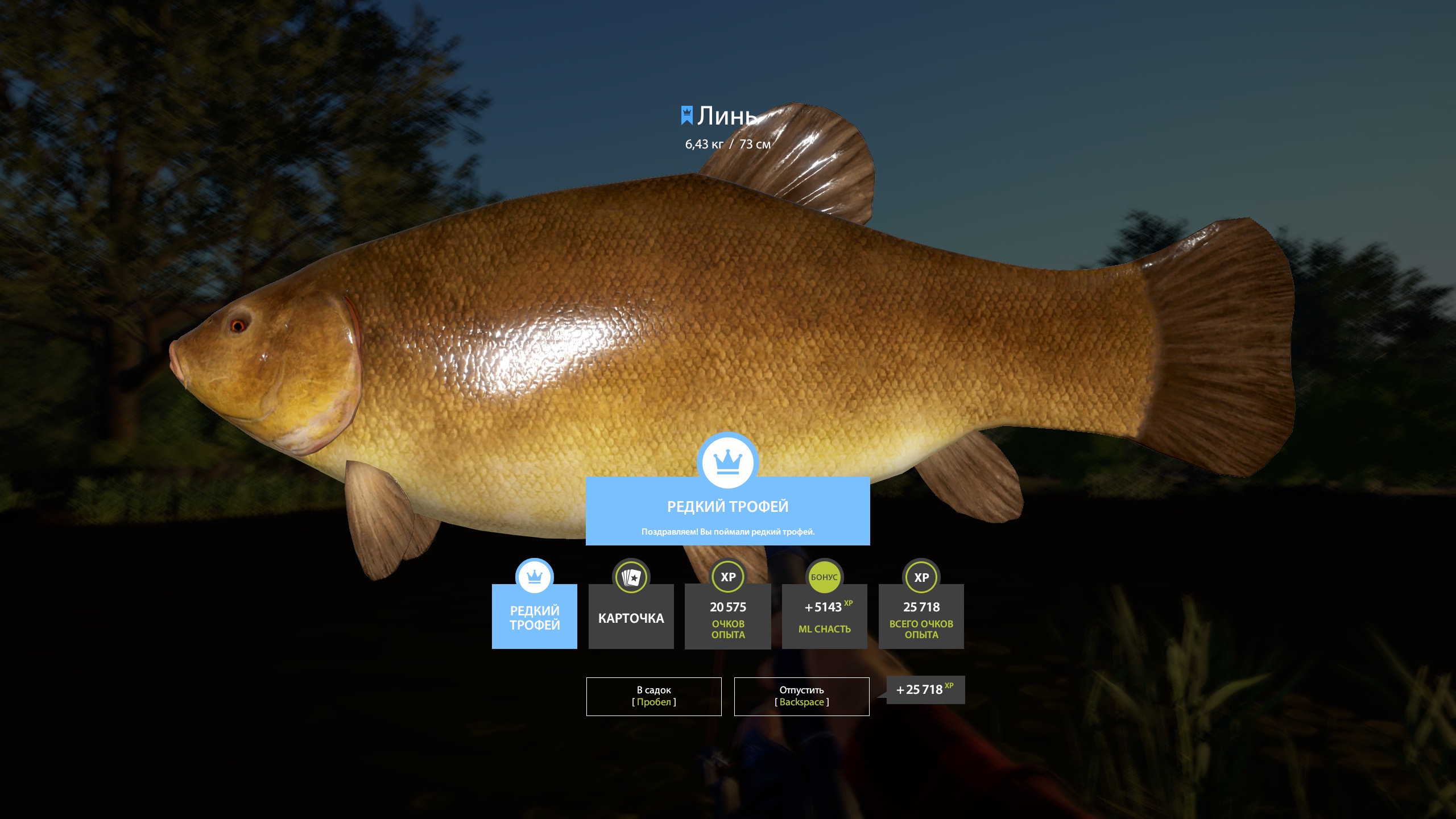 Trophy Copper lake