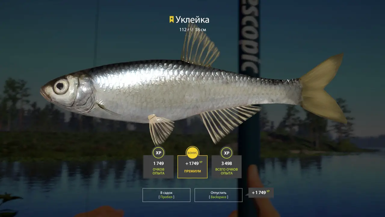 Trophy Belaya River