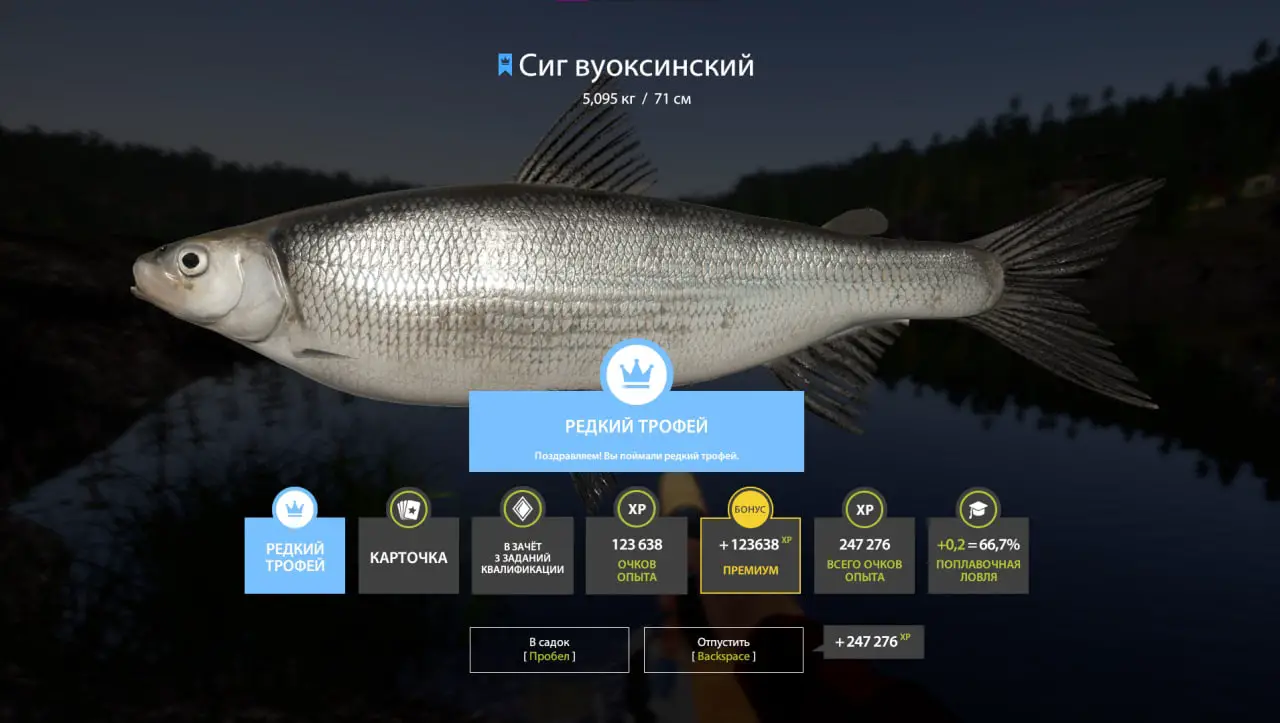 Trophy Ladoga Lake