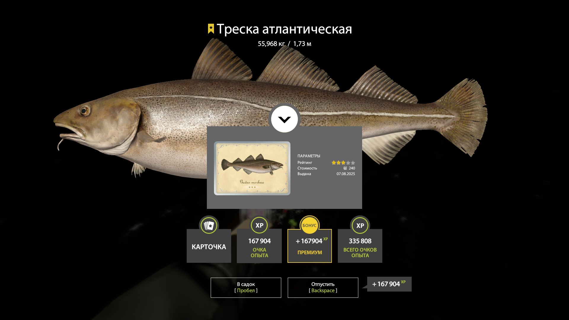 Trophy Norwegian Sea