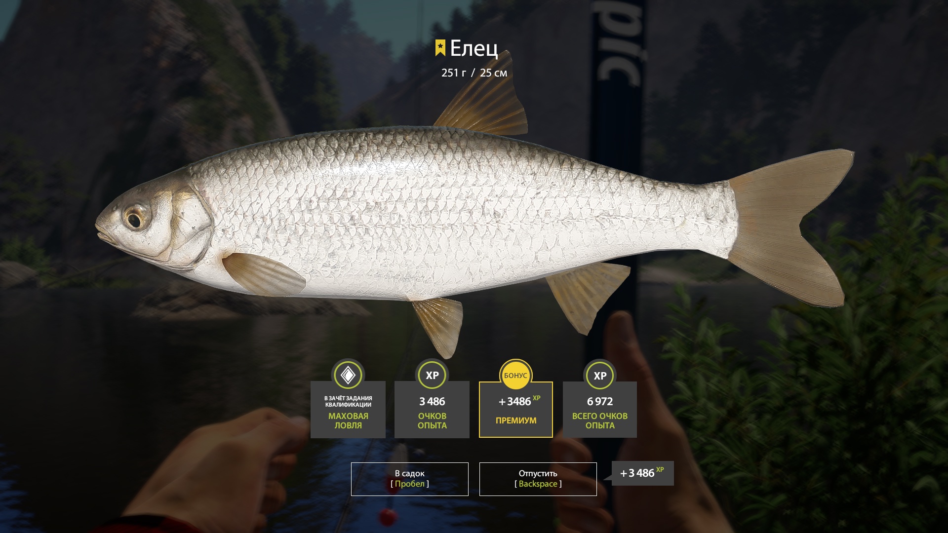 Trophy Belaya River
