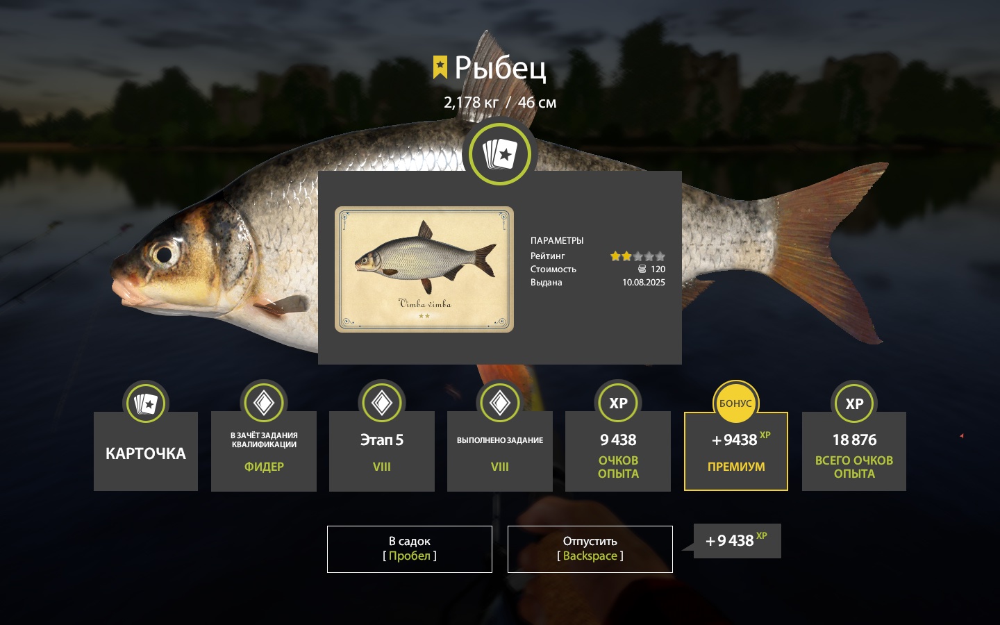 Trophy Volkhov River