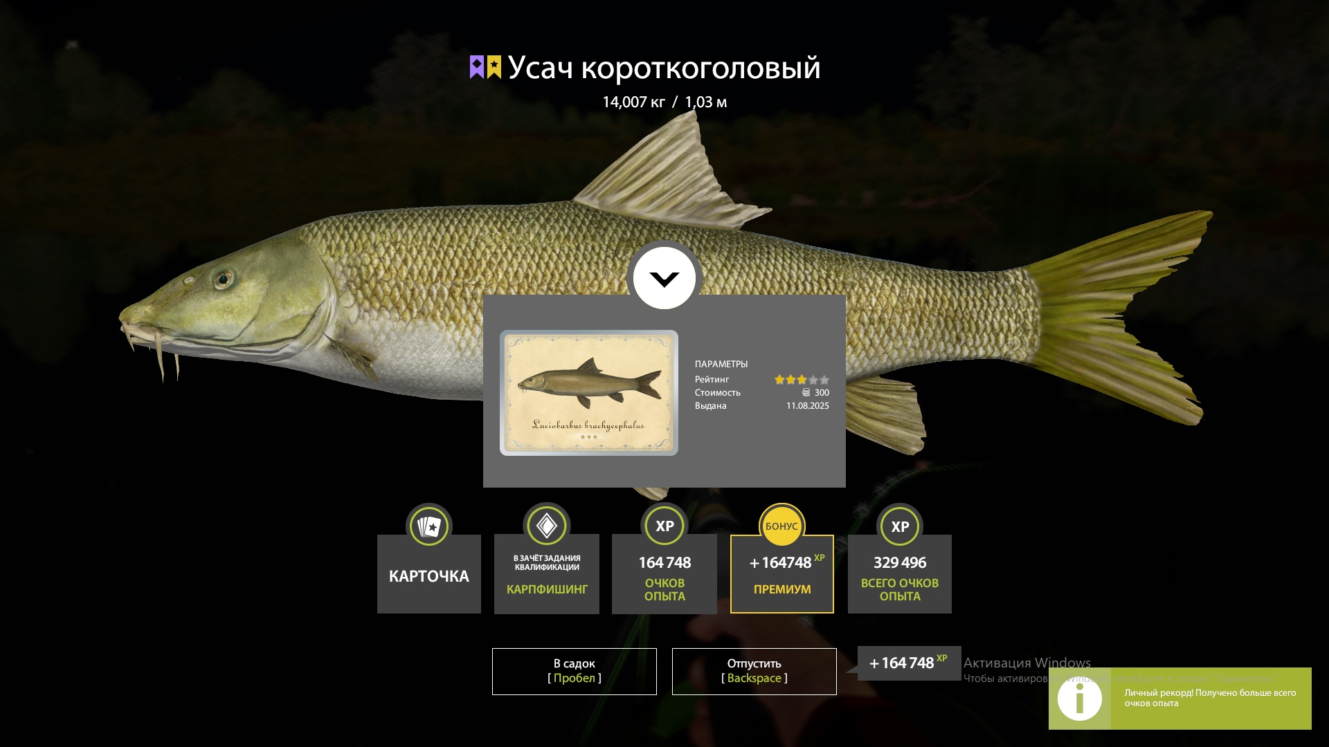 Trophy Akhtuba River