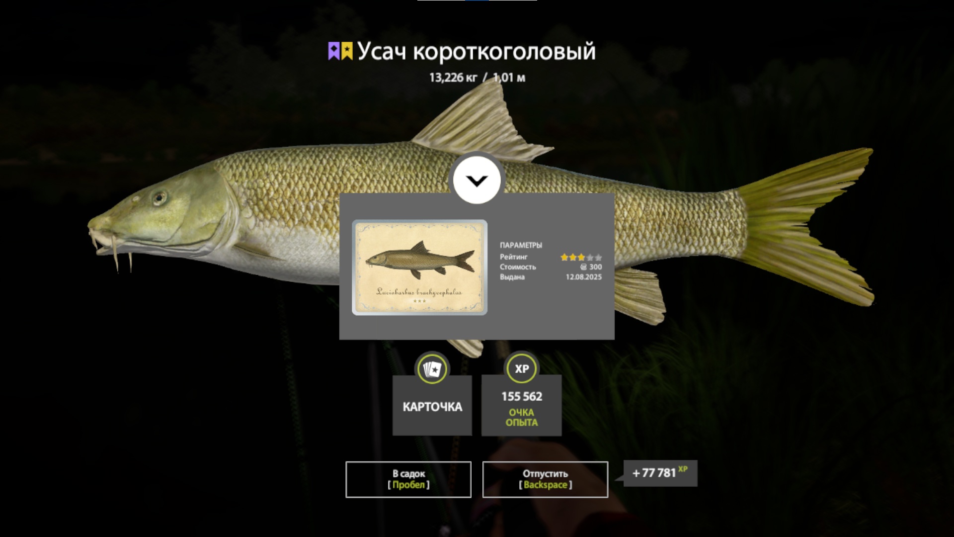 Trophy Akhtuba River