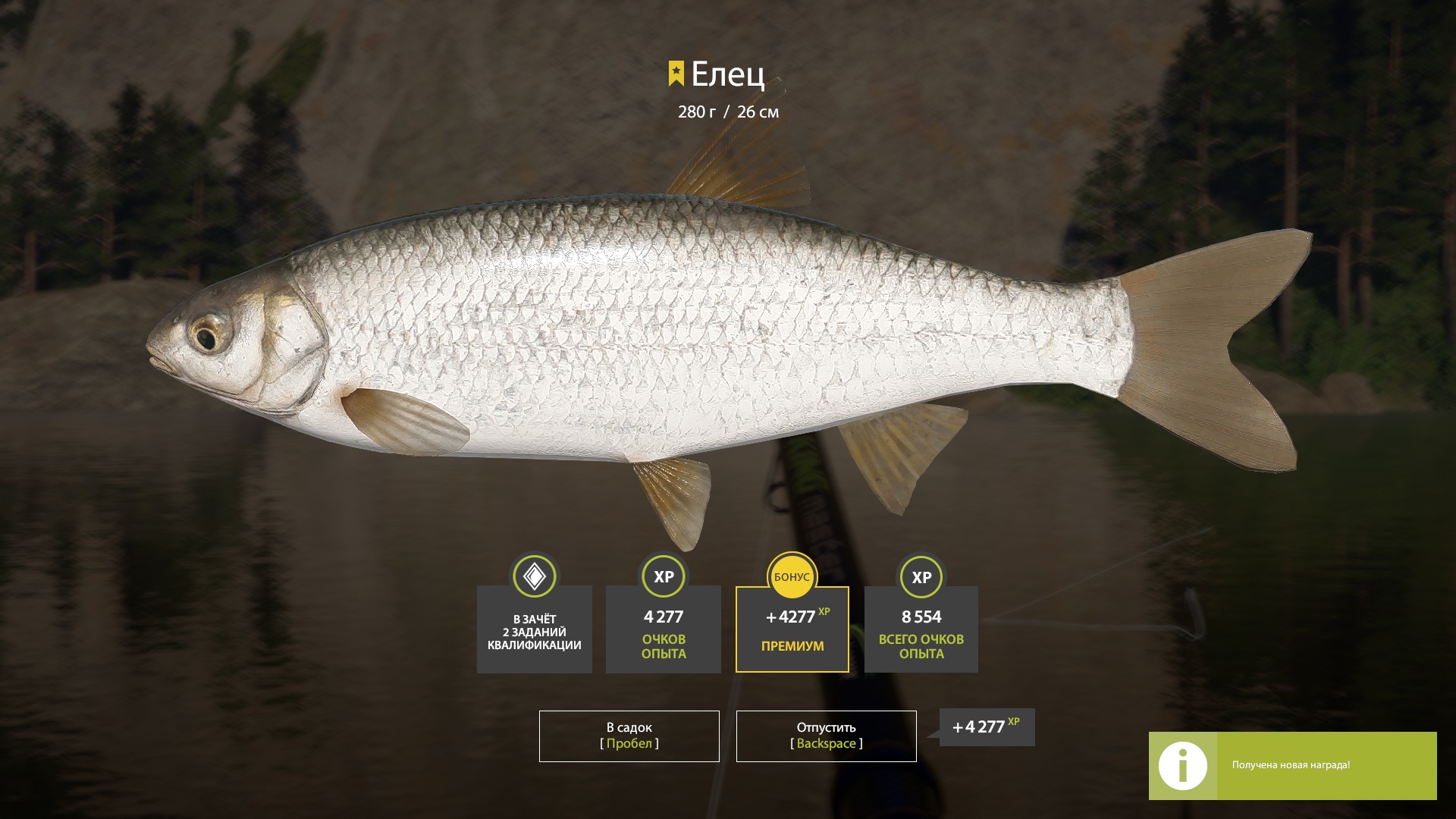 Trophy Belaya River