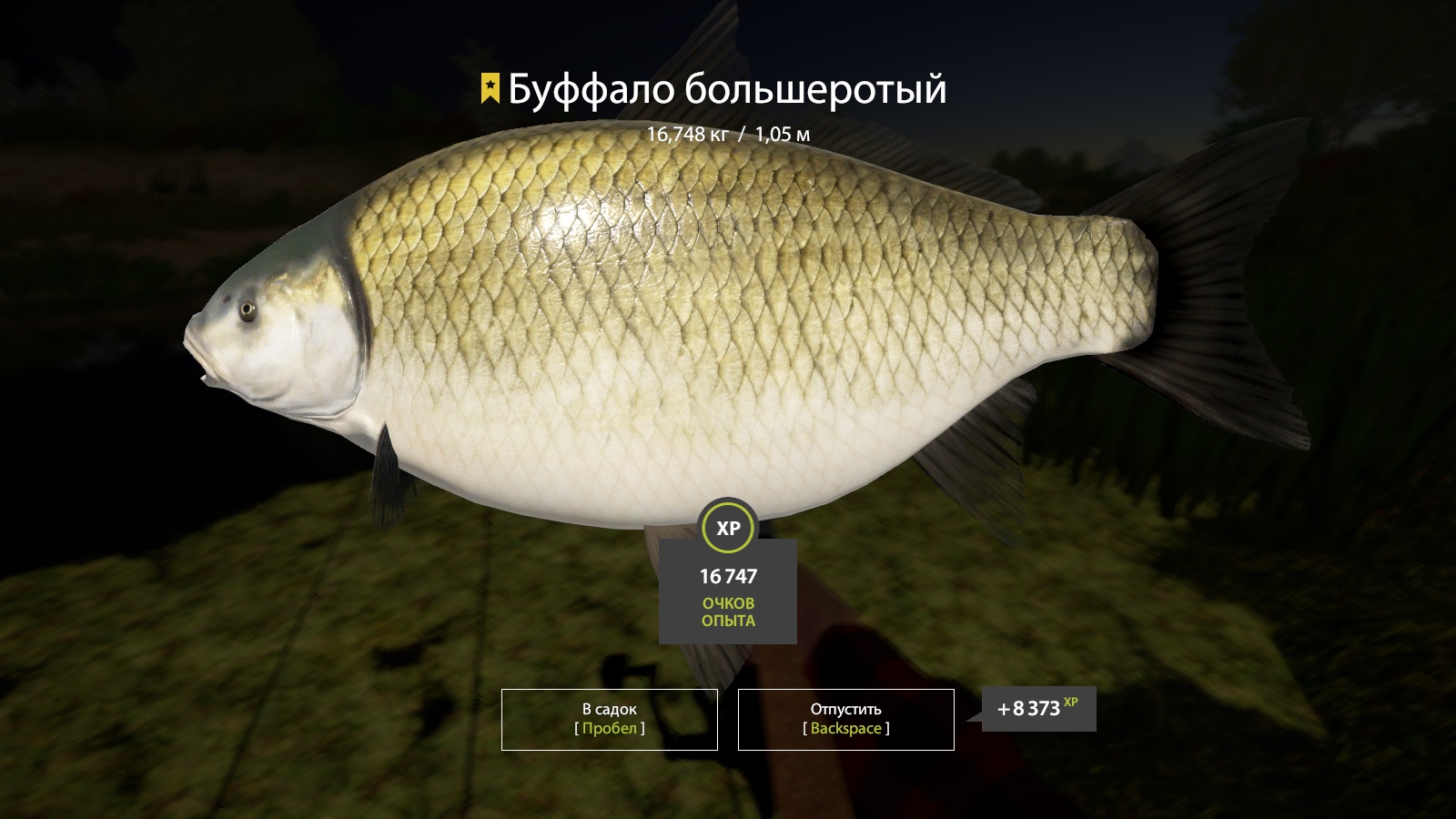 Trophy Akhtuba River