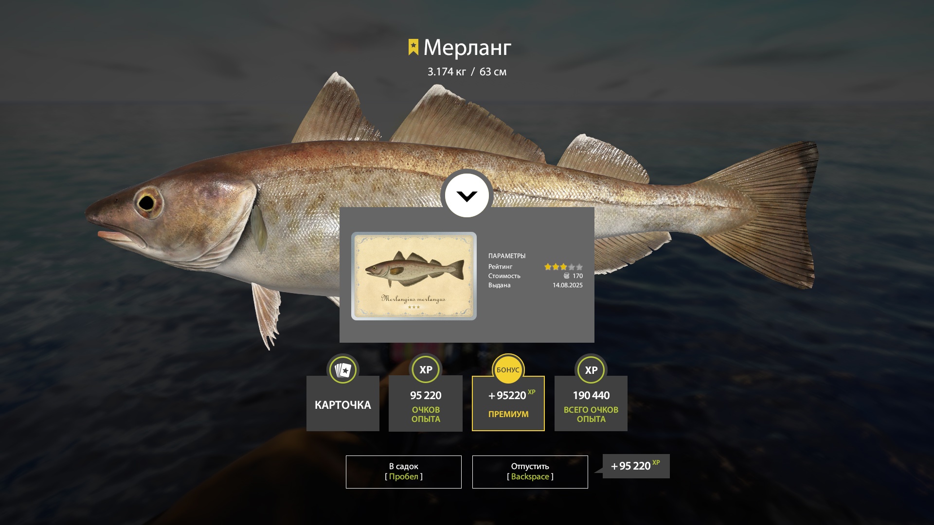 Trophy Norwegian Sea