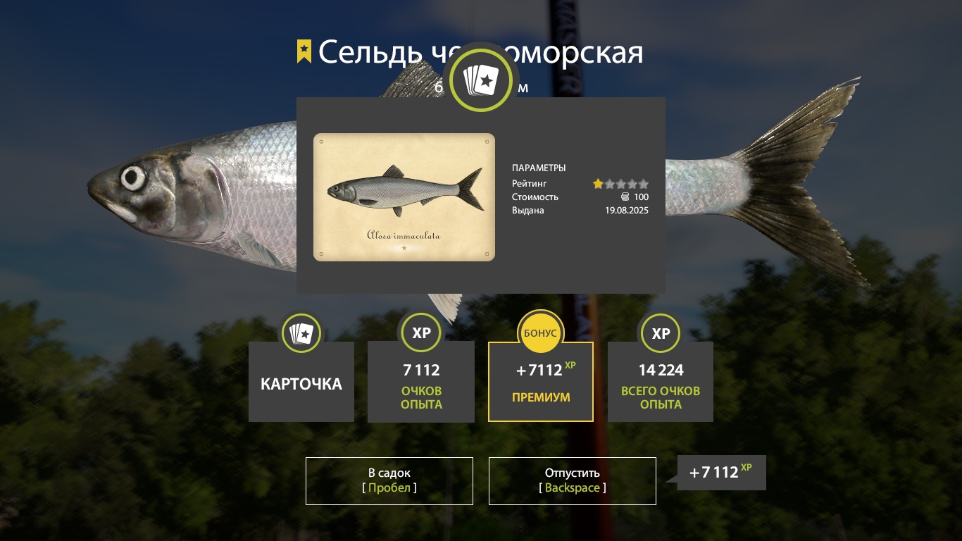 Trophy Seversky Donets River