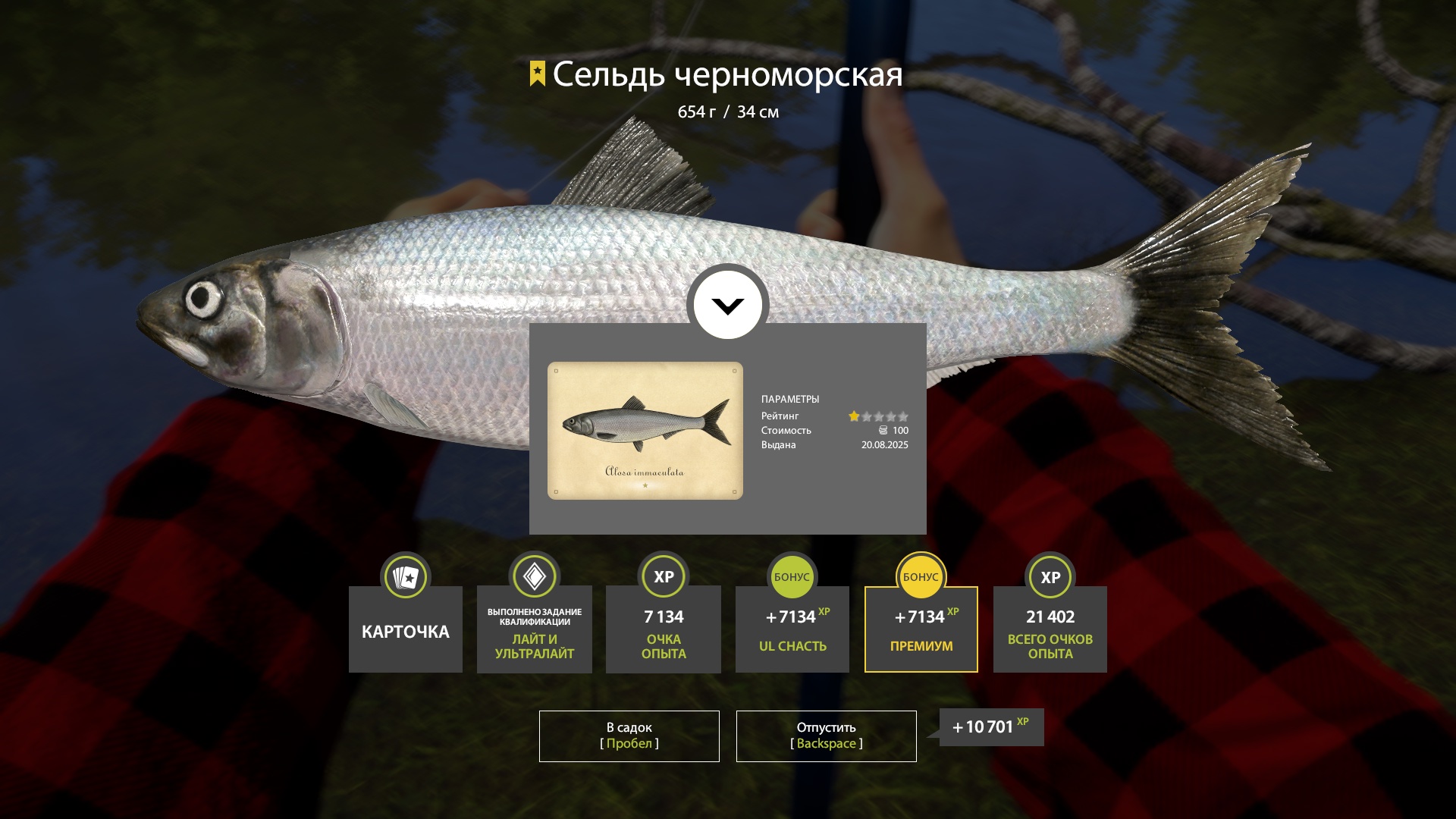 Trophy Seversky Donets River