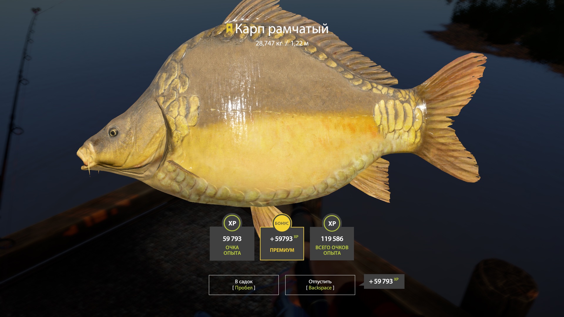 Trophy The Amber Lake