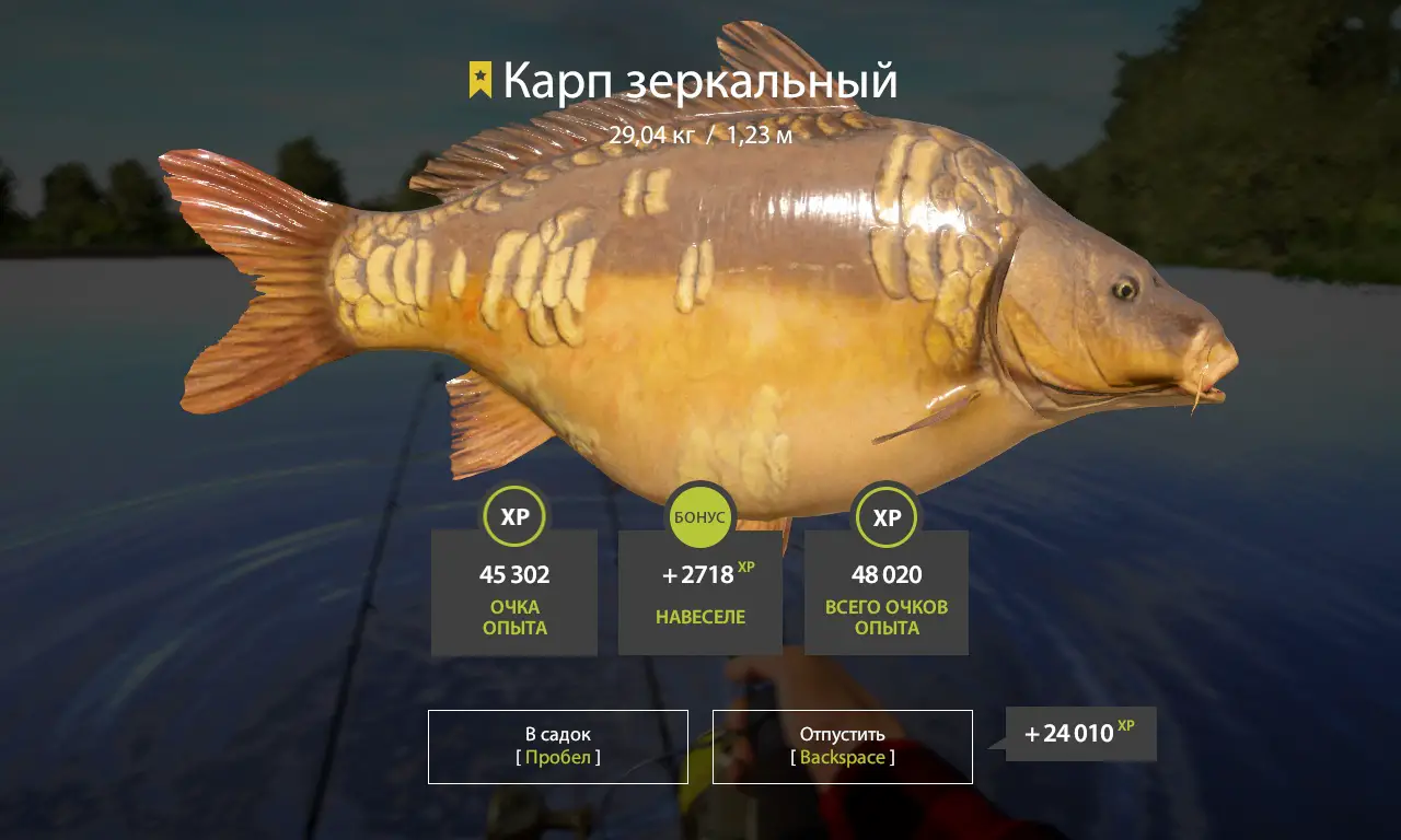 Trophy The Amber Lake