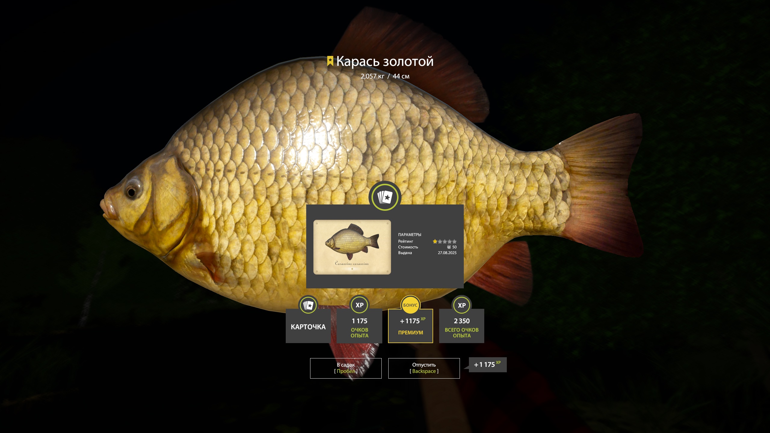 Trophy Copper lake