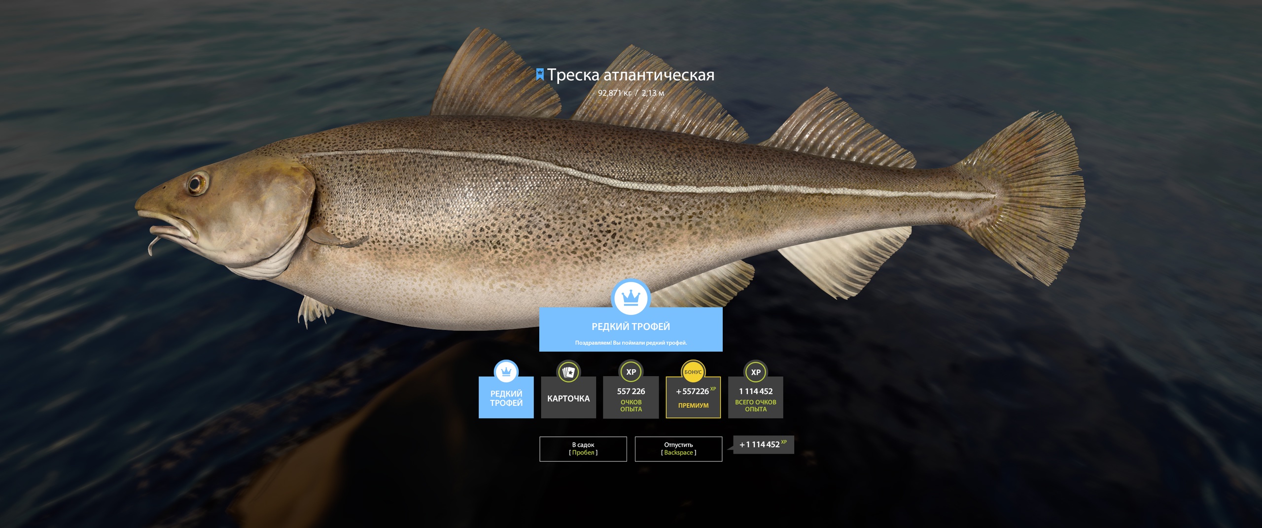Trophy Norwegian Sea