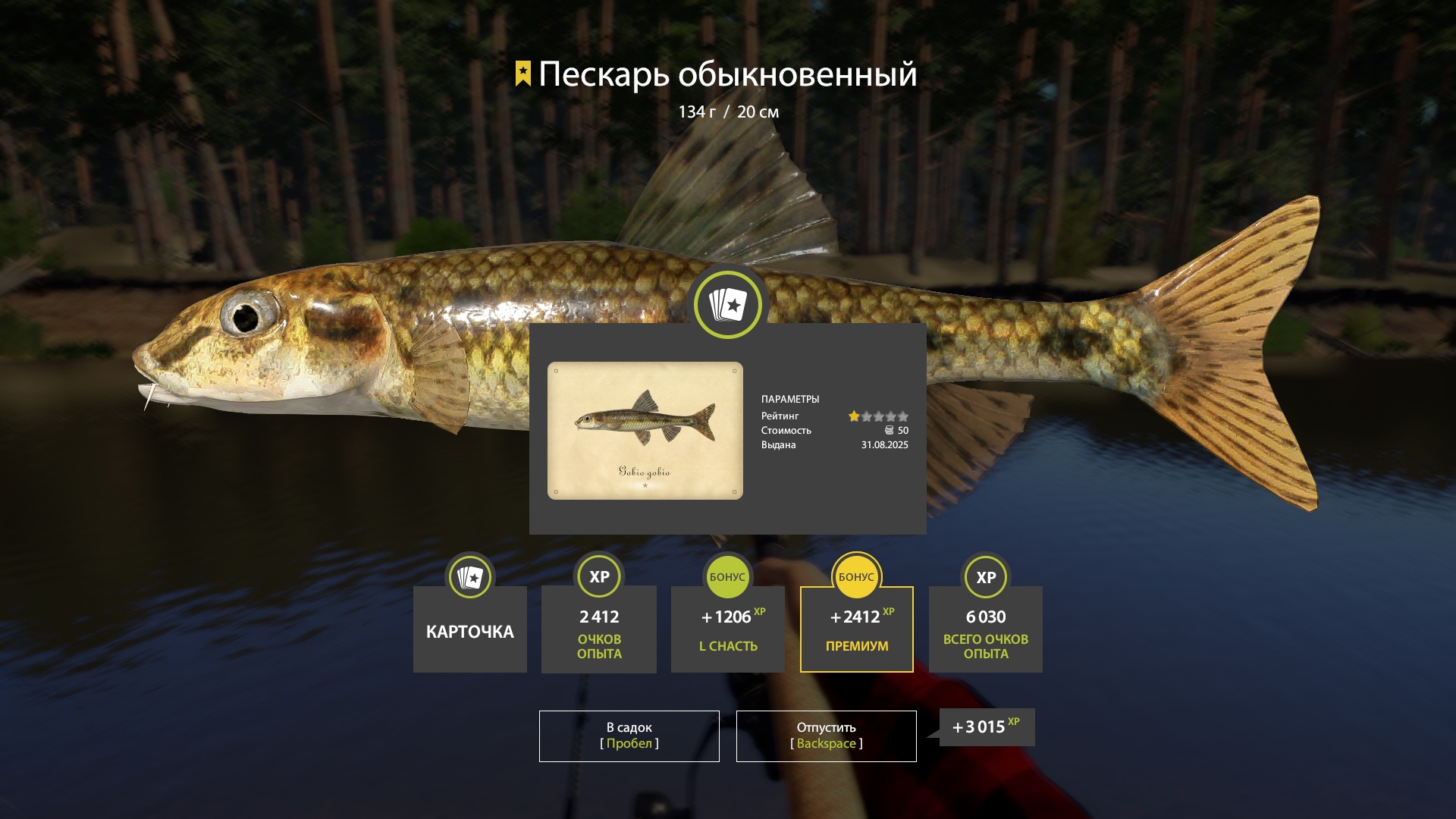 Trophy Winding Rivulet