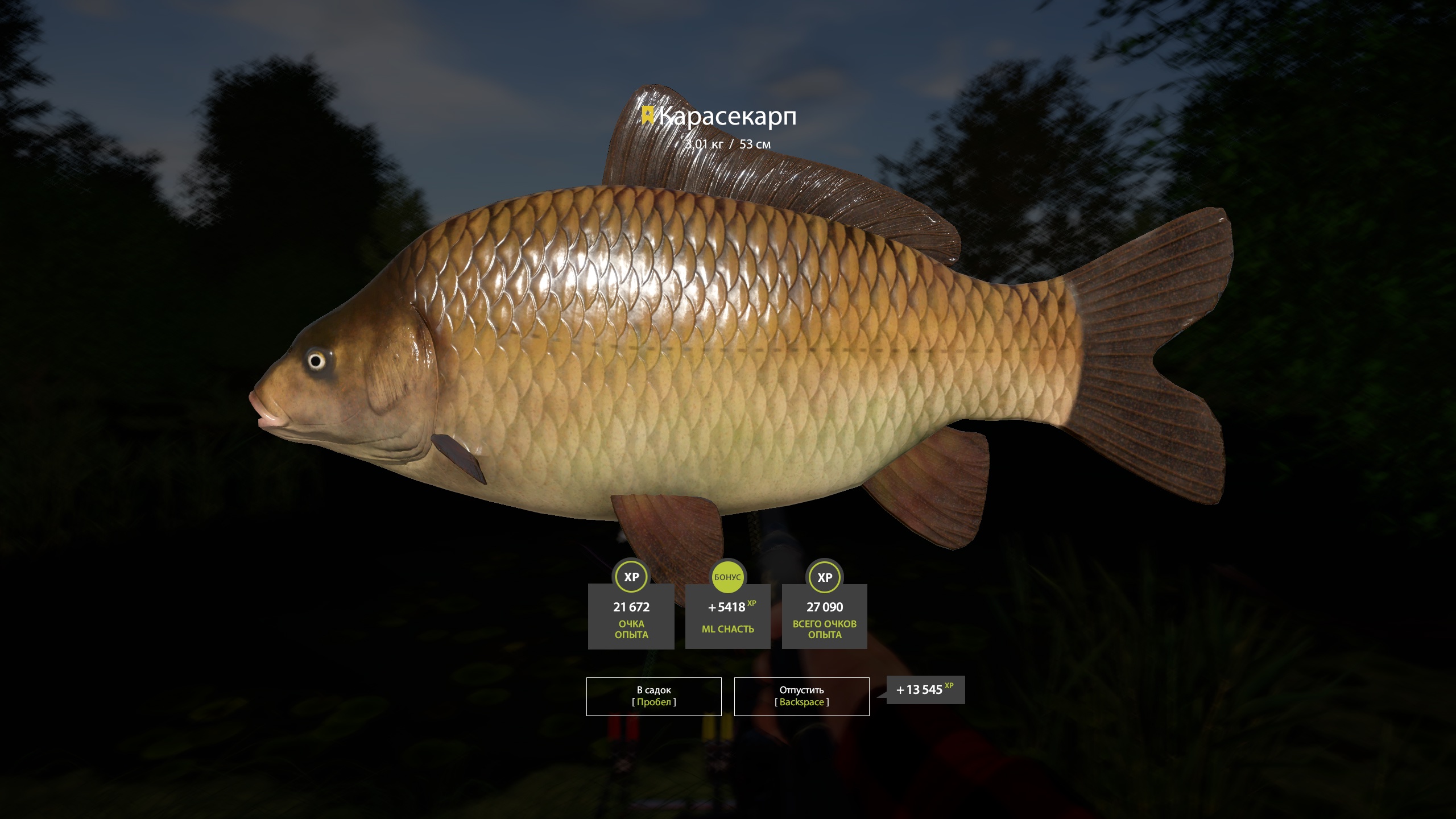 Trophy Copper lake