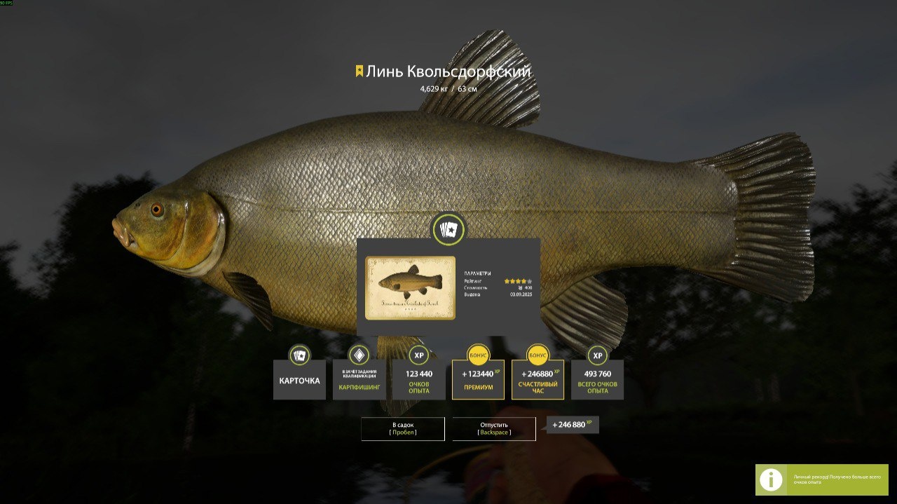 Trophy Copper lake