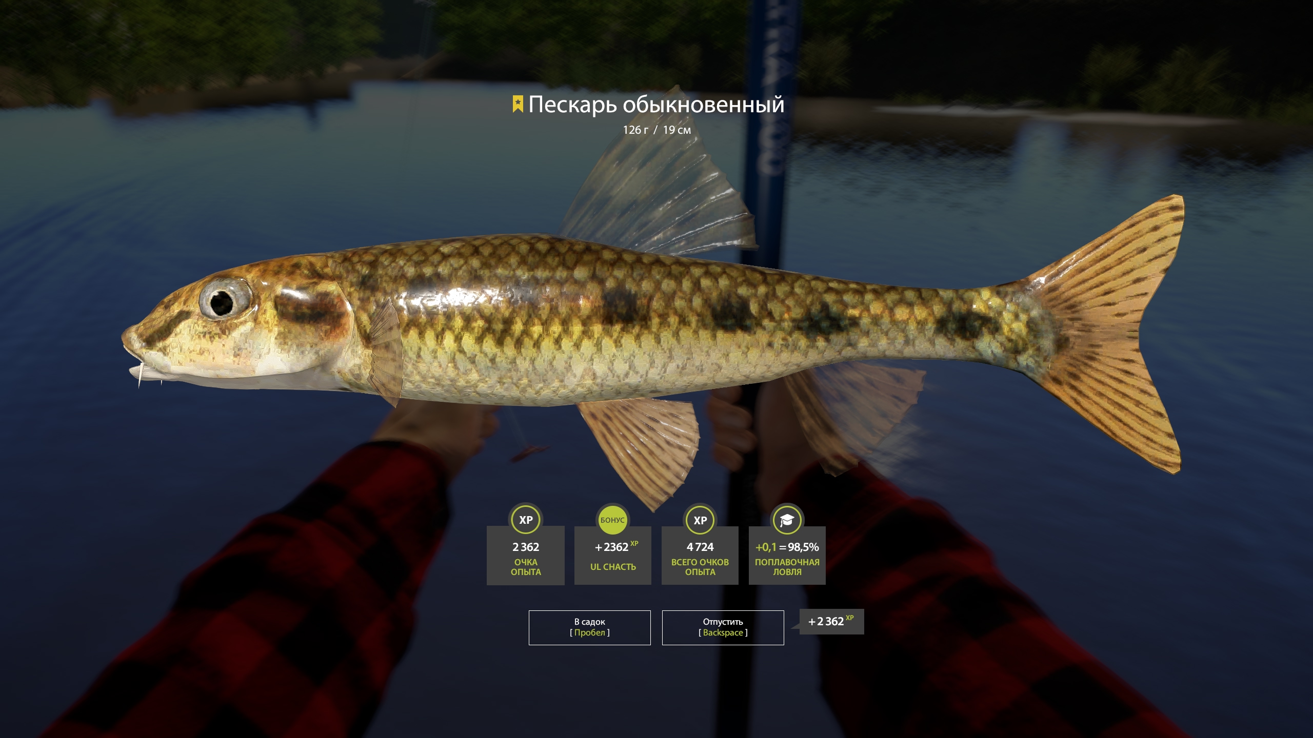 Trophy Winding Rivulet