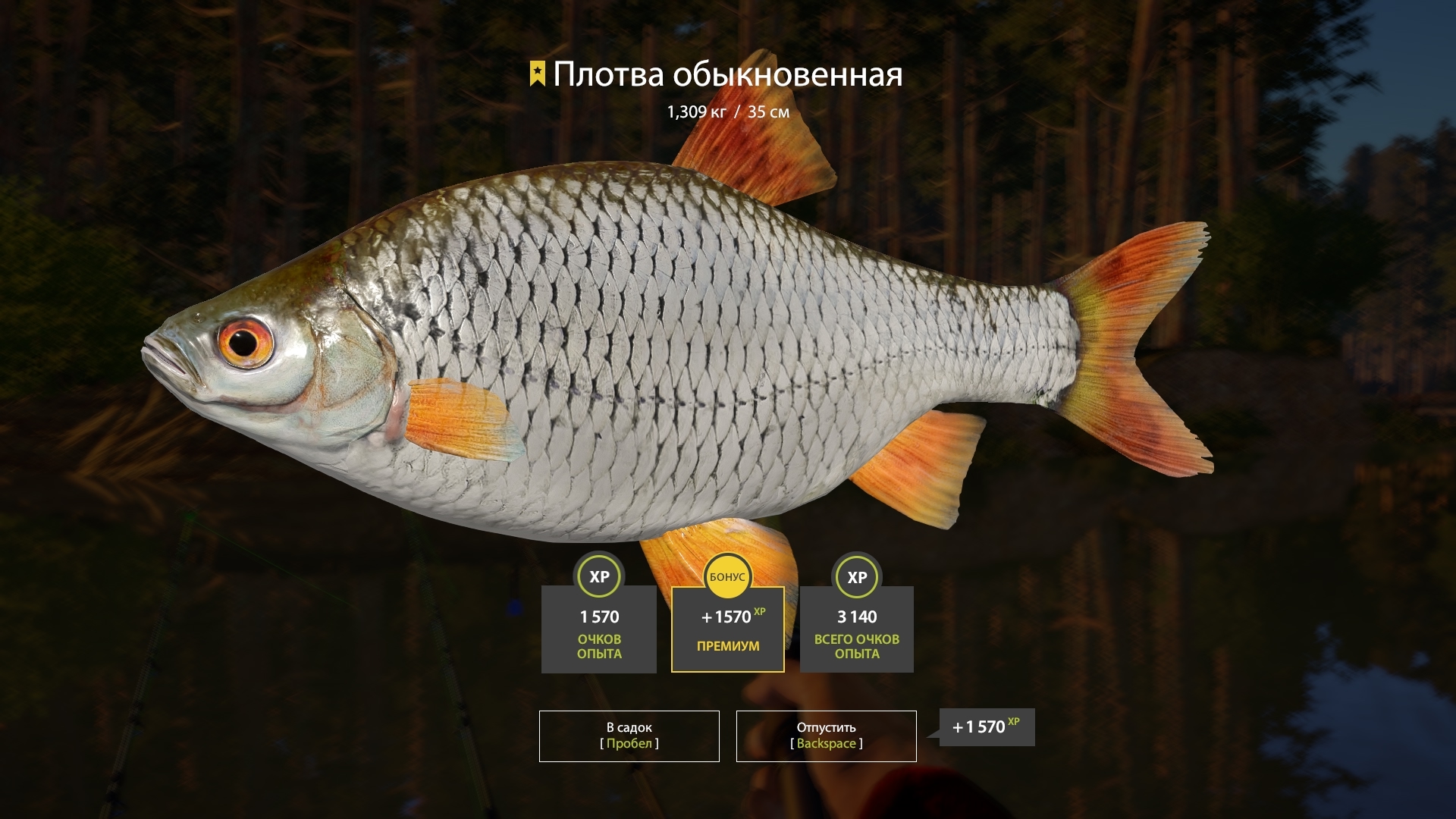 Trophy Winding Rivulet