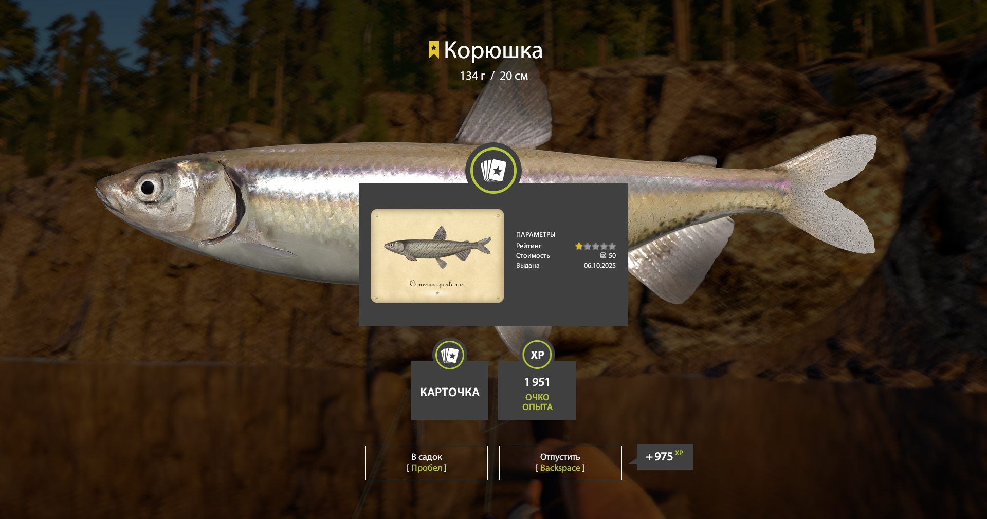 Trophy Ladoga Lake