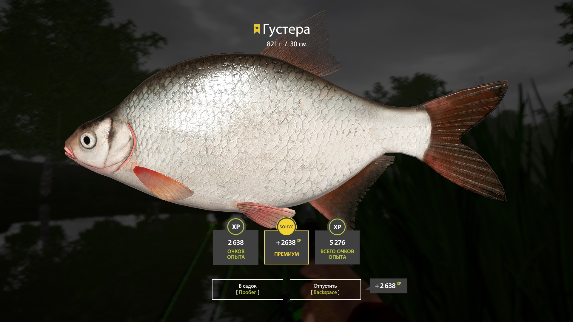 Trophy Seversky Donets River