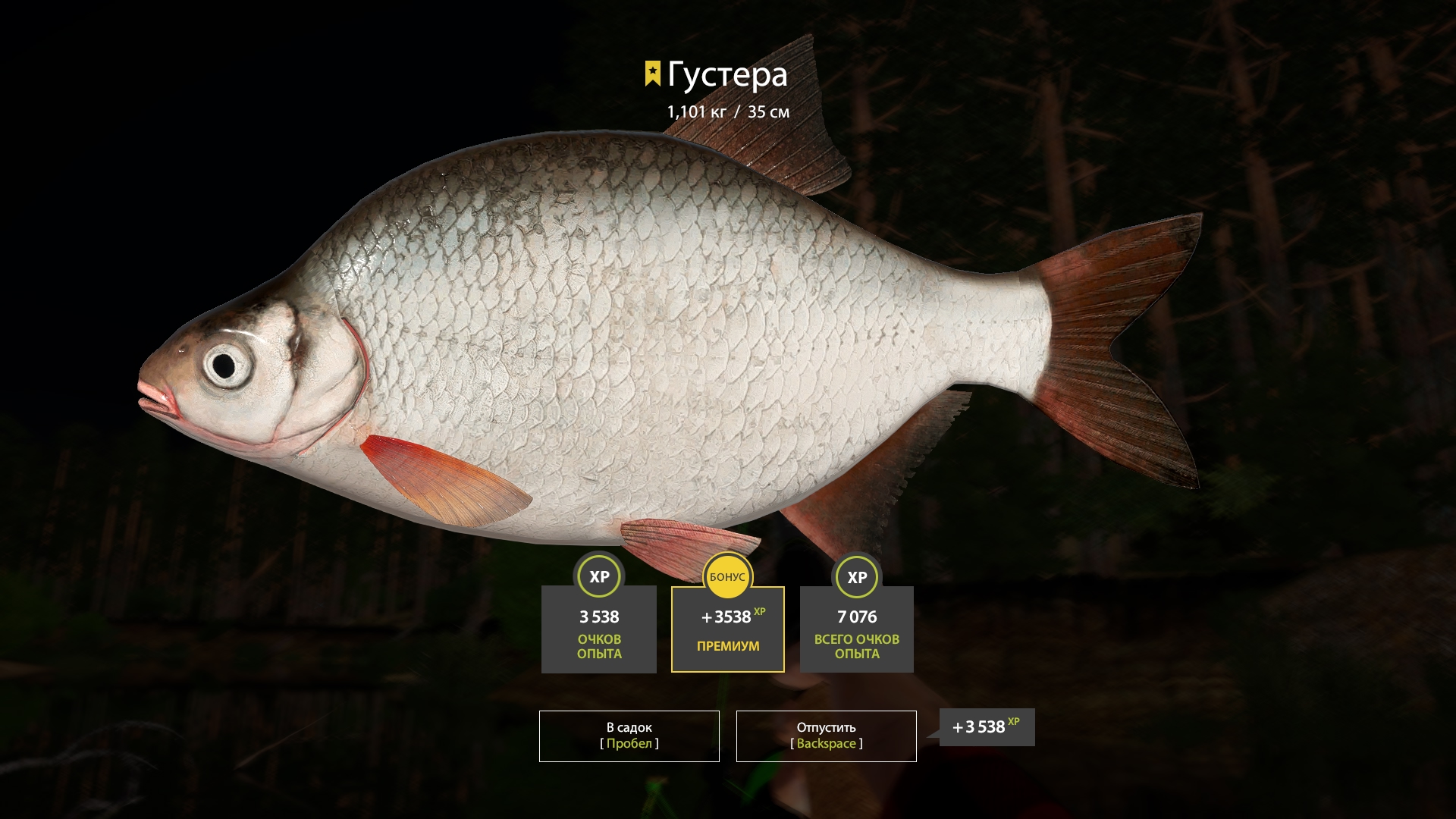 Trophy Winding Rivulet