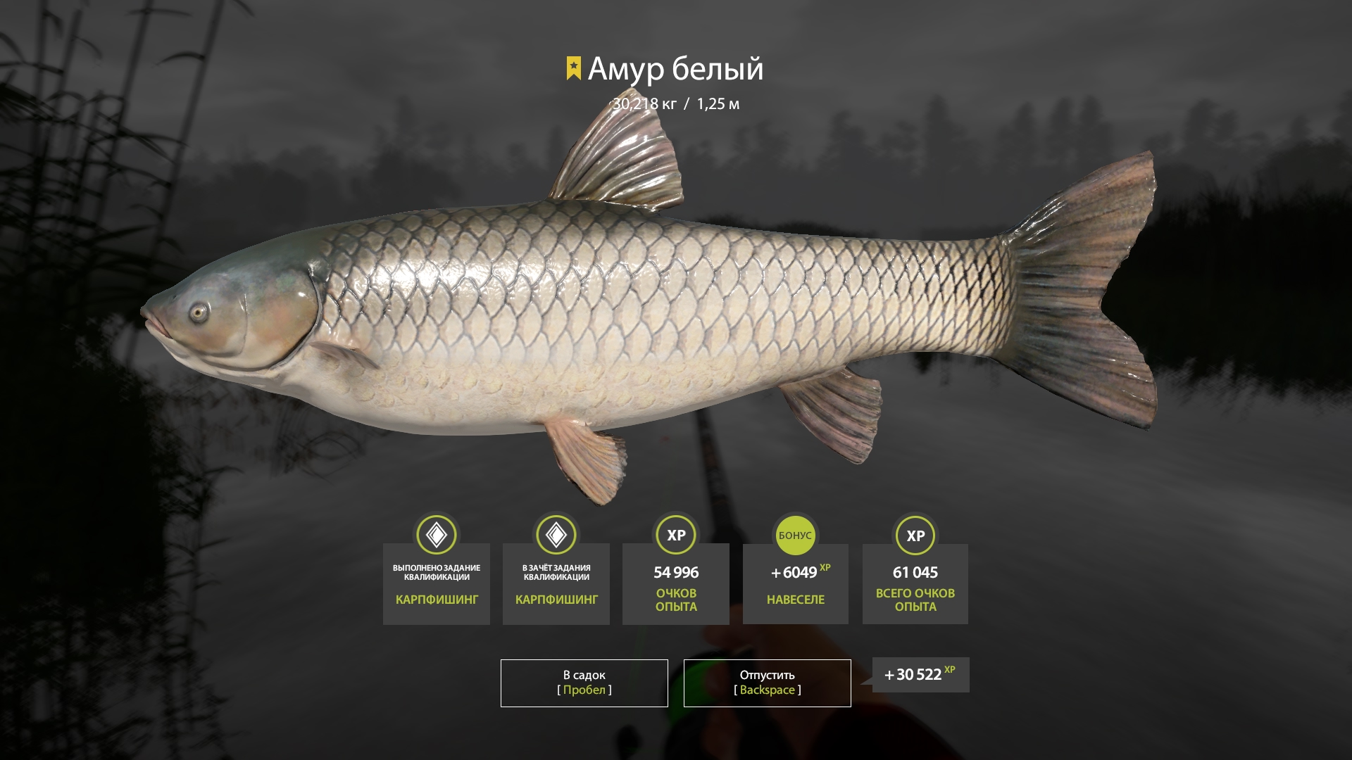 Trophy Bear Lake