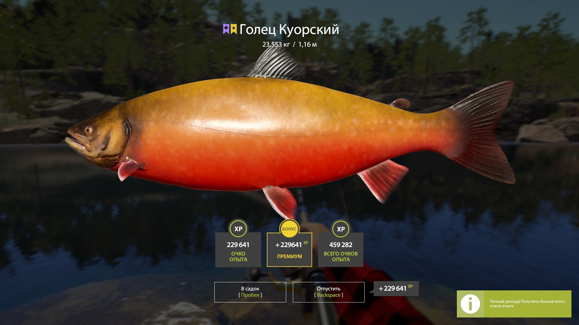 Trophy Kuori Lake