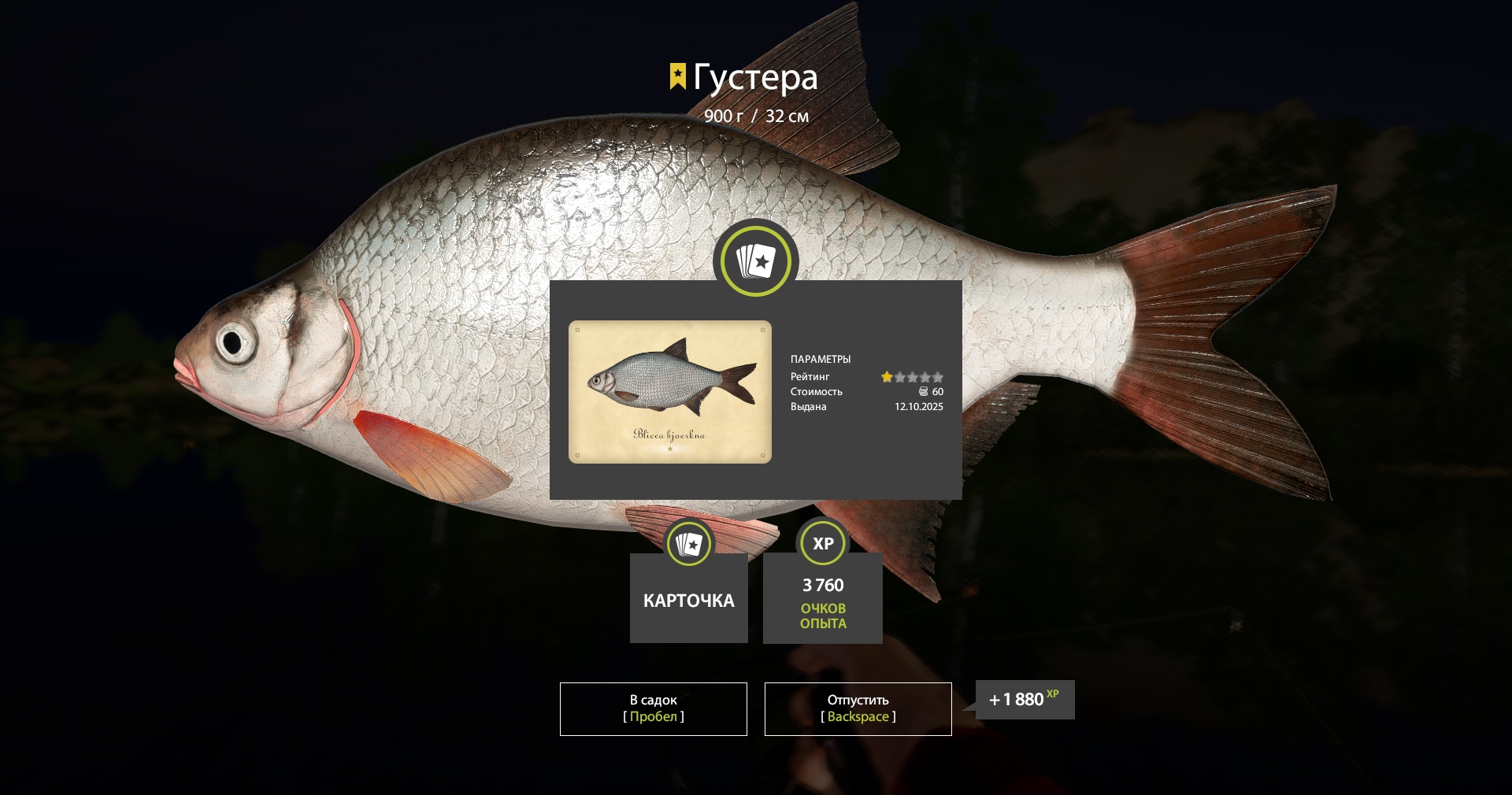 Trophy Volkhov River