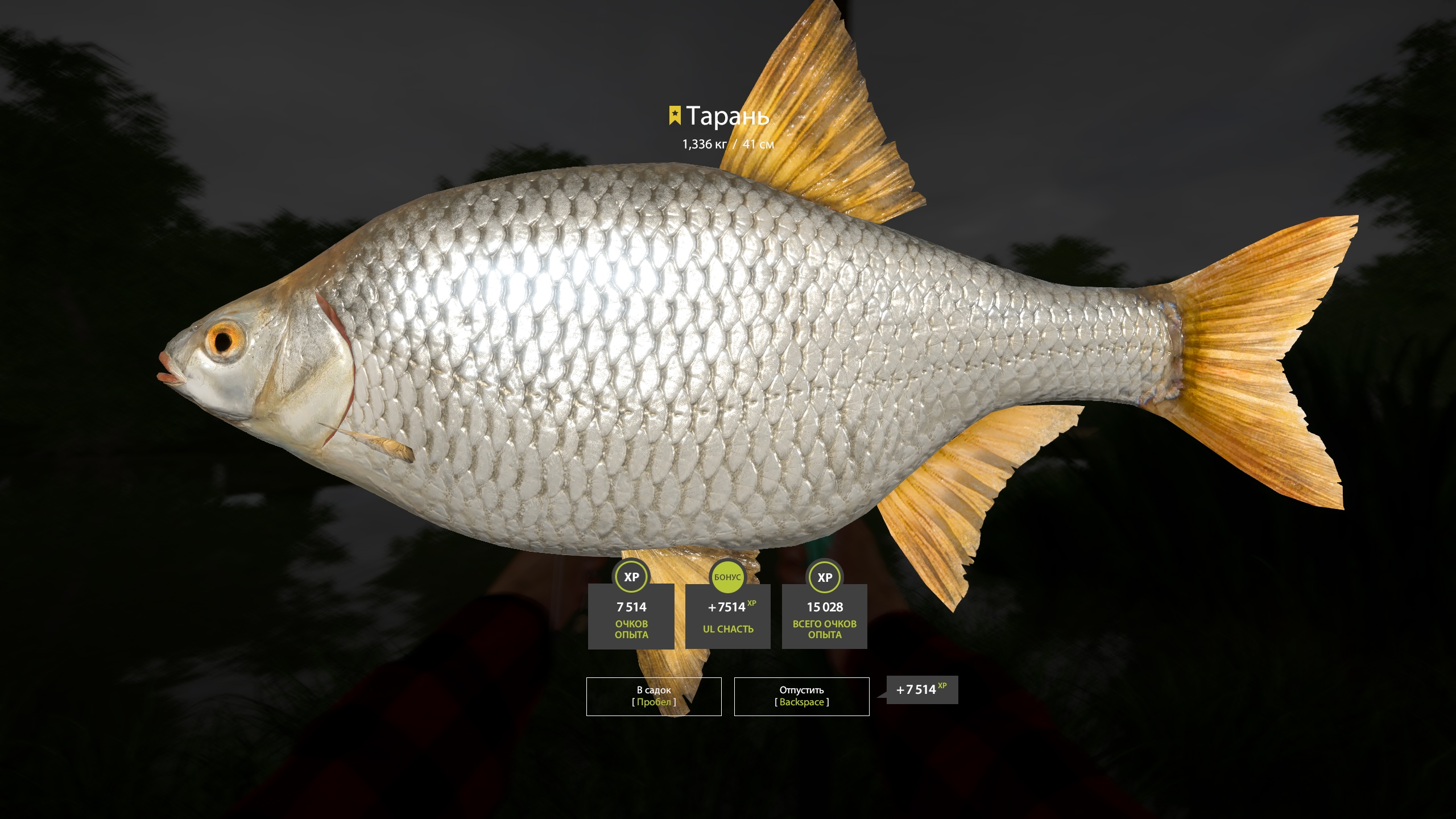 Trophy Seversky Donets River