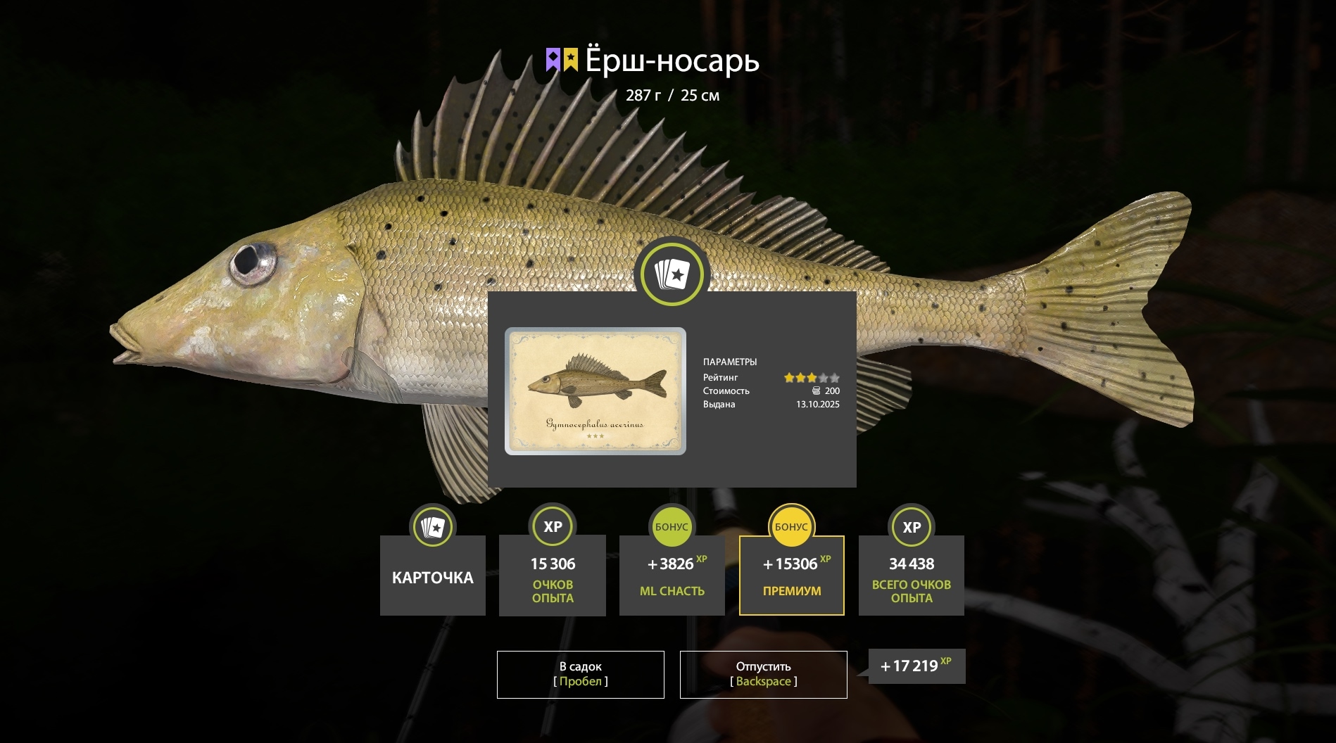 Trophy Winding Rivulet